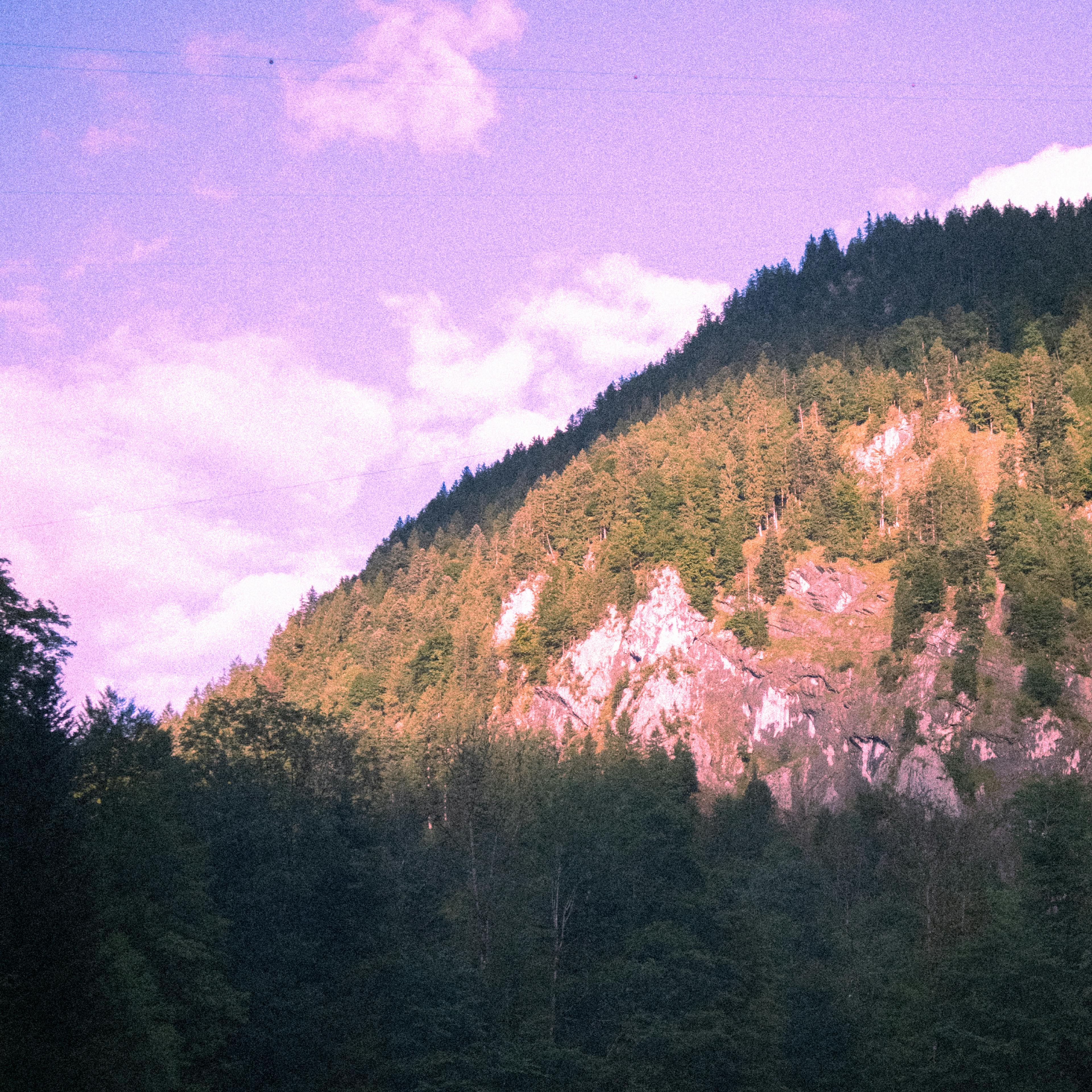 landscape at schwing und stampf festival