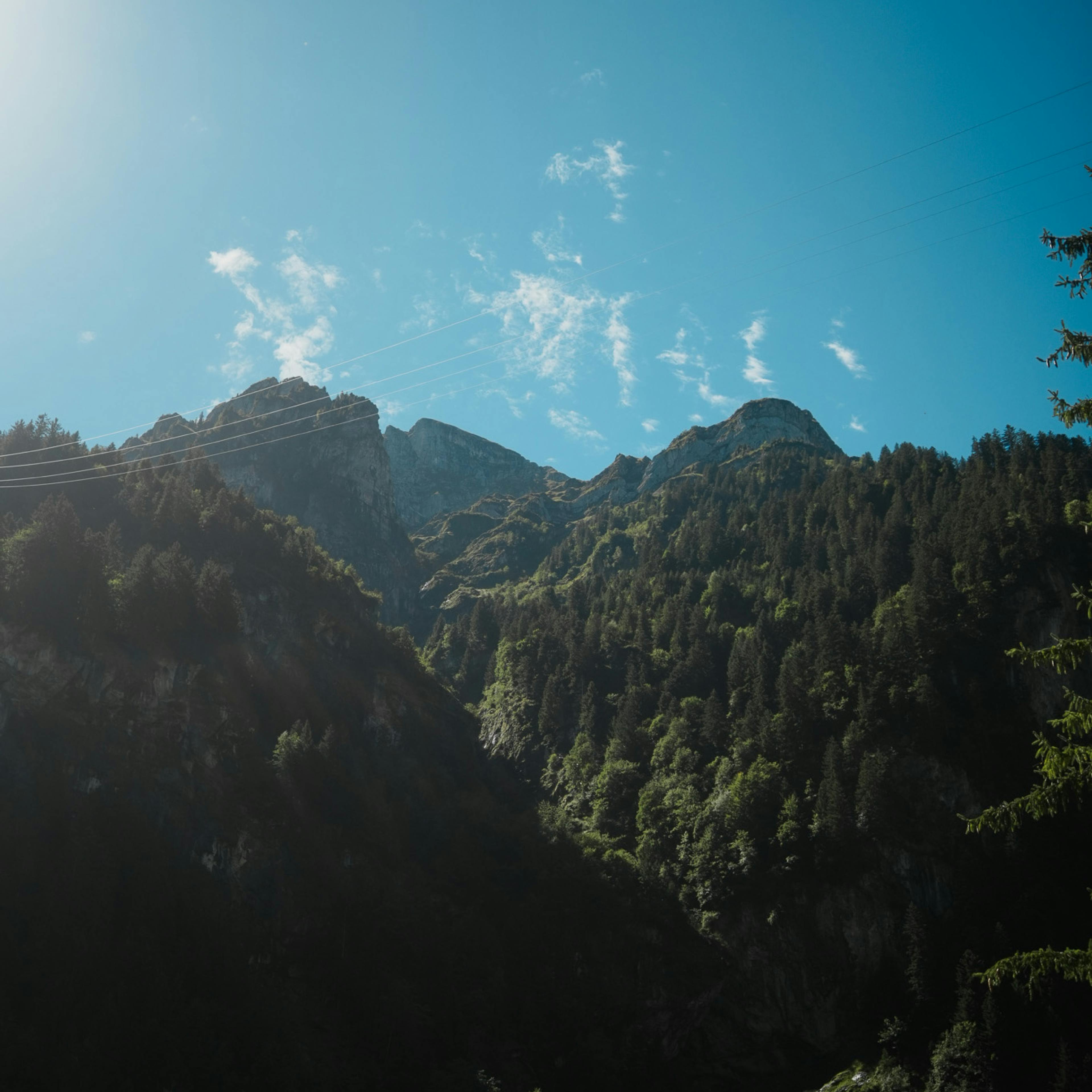 sun at schwing und stampf 2025