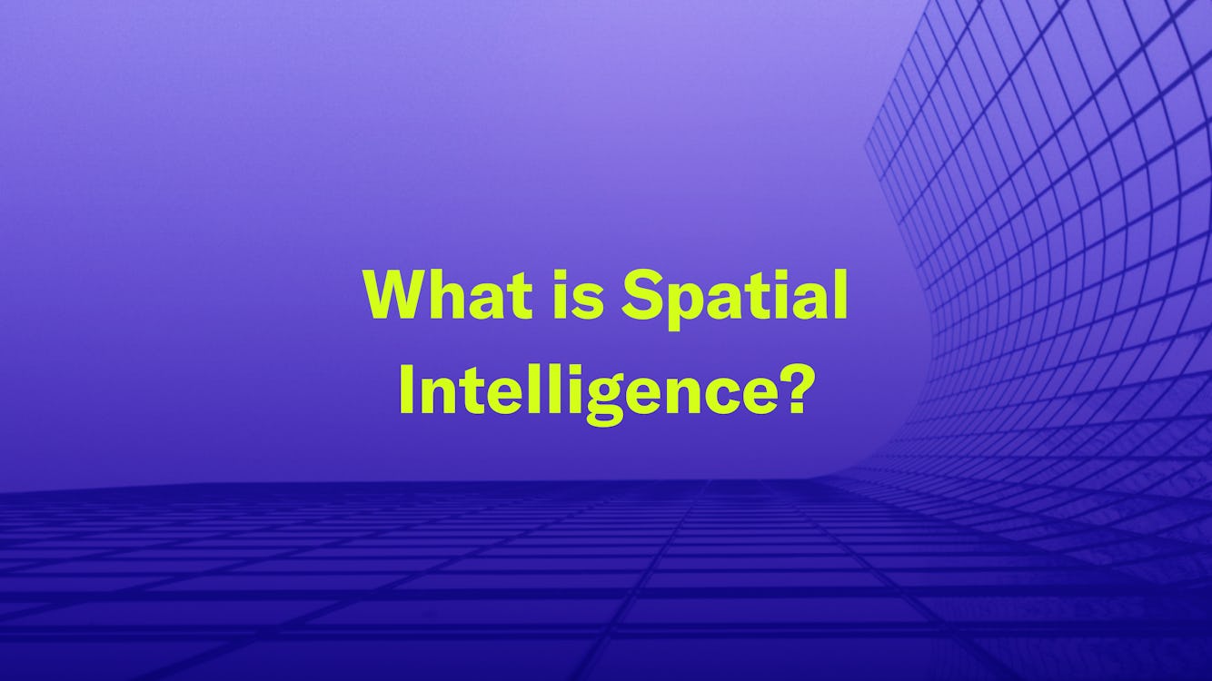 What is Spatial Intelligence?