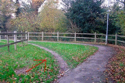 A desire path worn in the grass beside a marked path Image via StackExchange