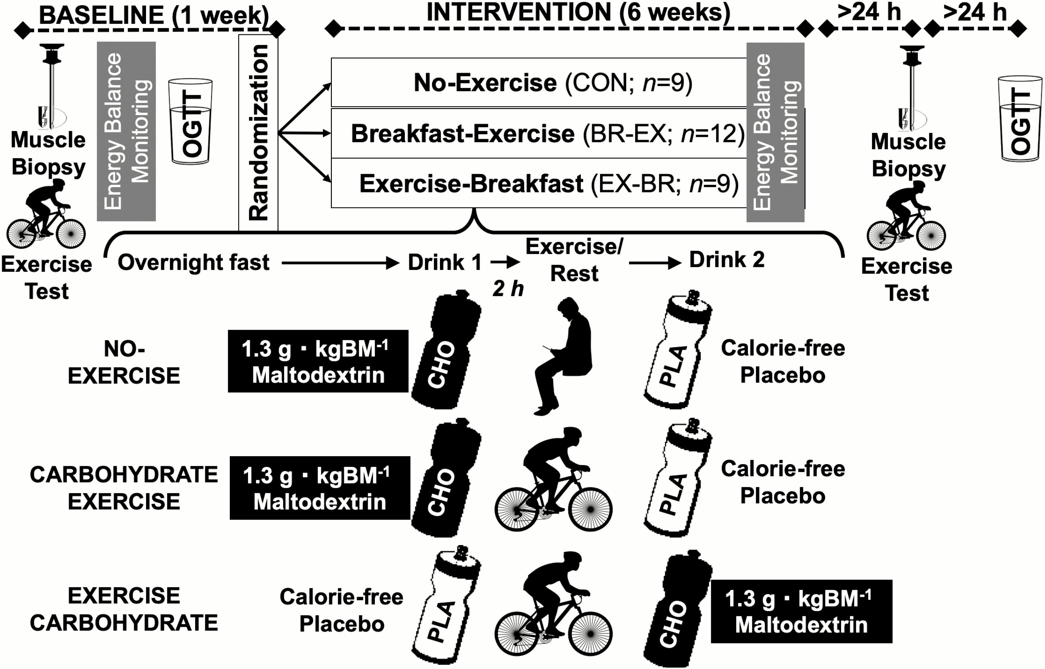 protocol schematic for training study