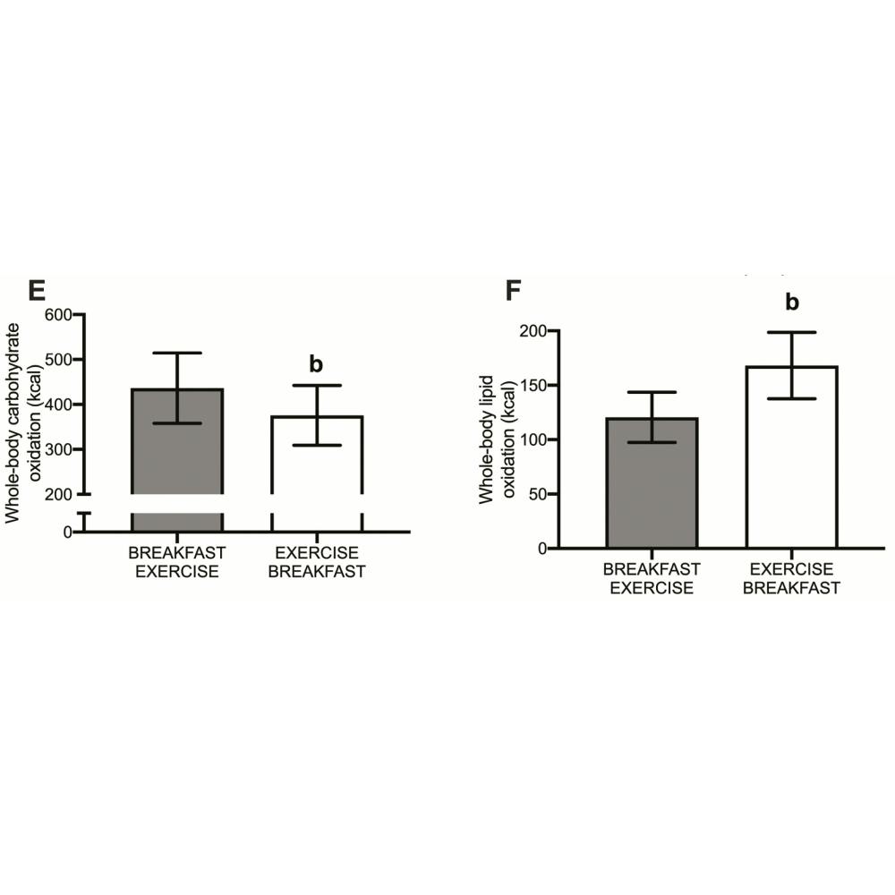 carbohydrate and lipid oxidation chart