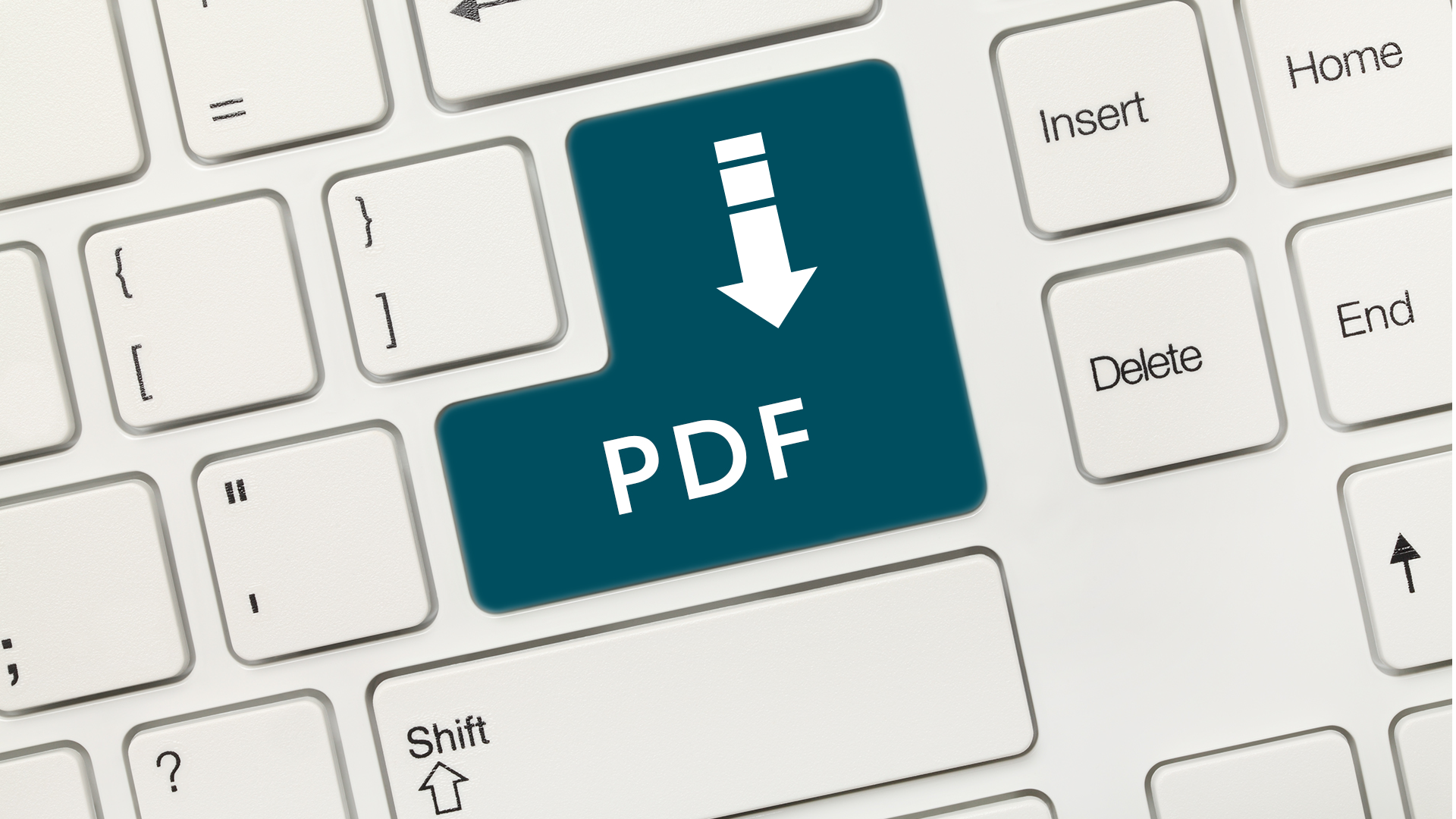 Botón PDF