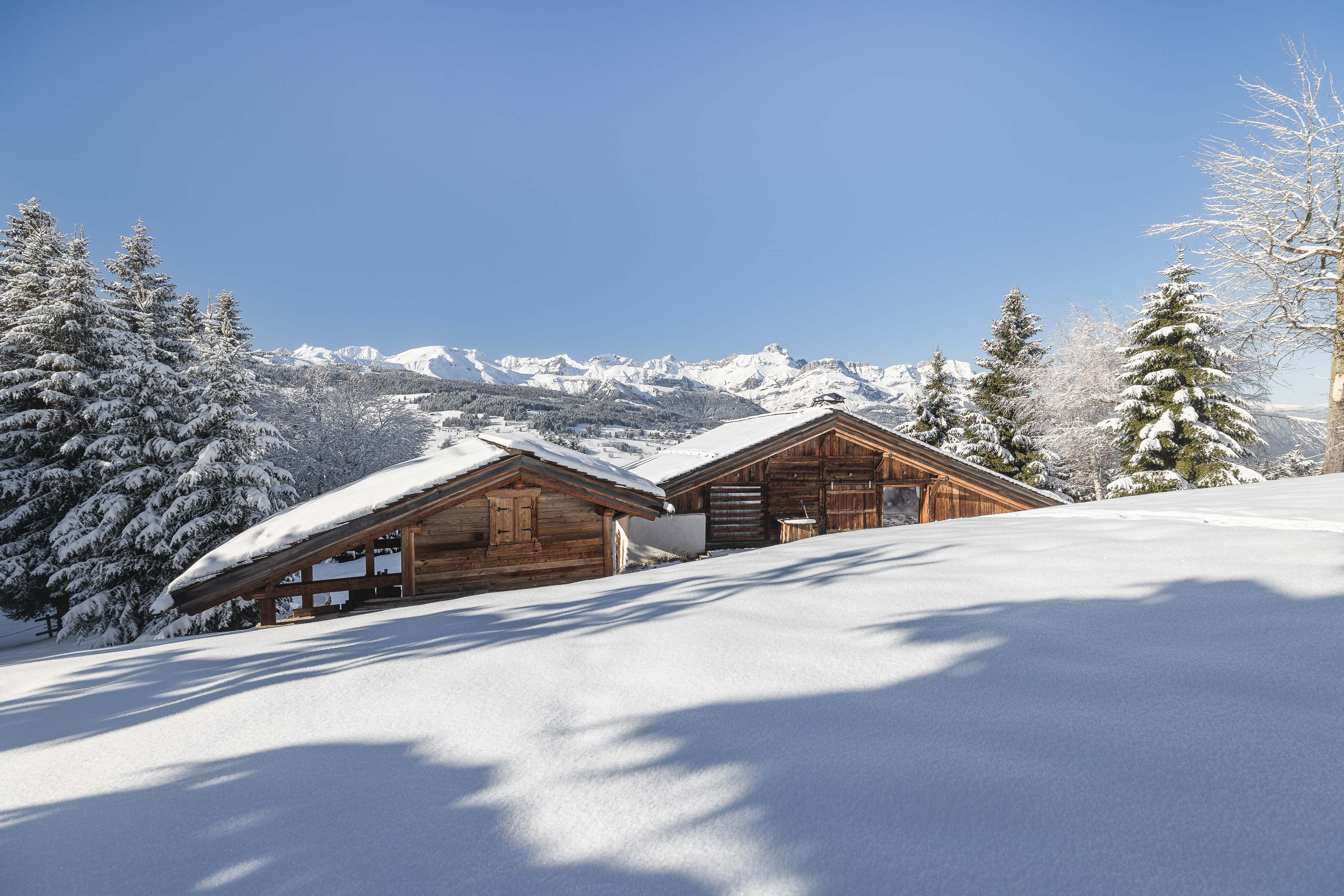 Véritable immobilier