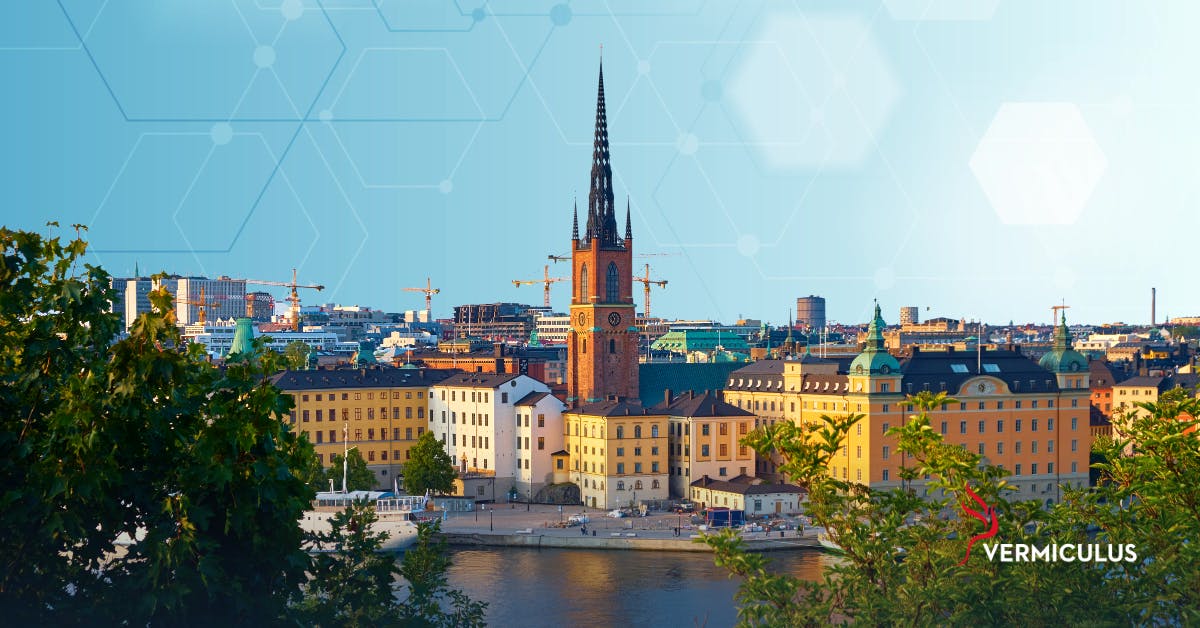 Summer Internship 2025 at Vermiculus Join Our Financial Technology Team