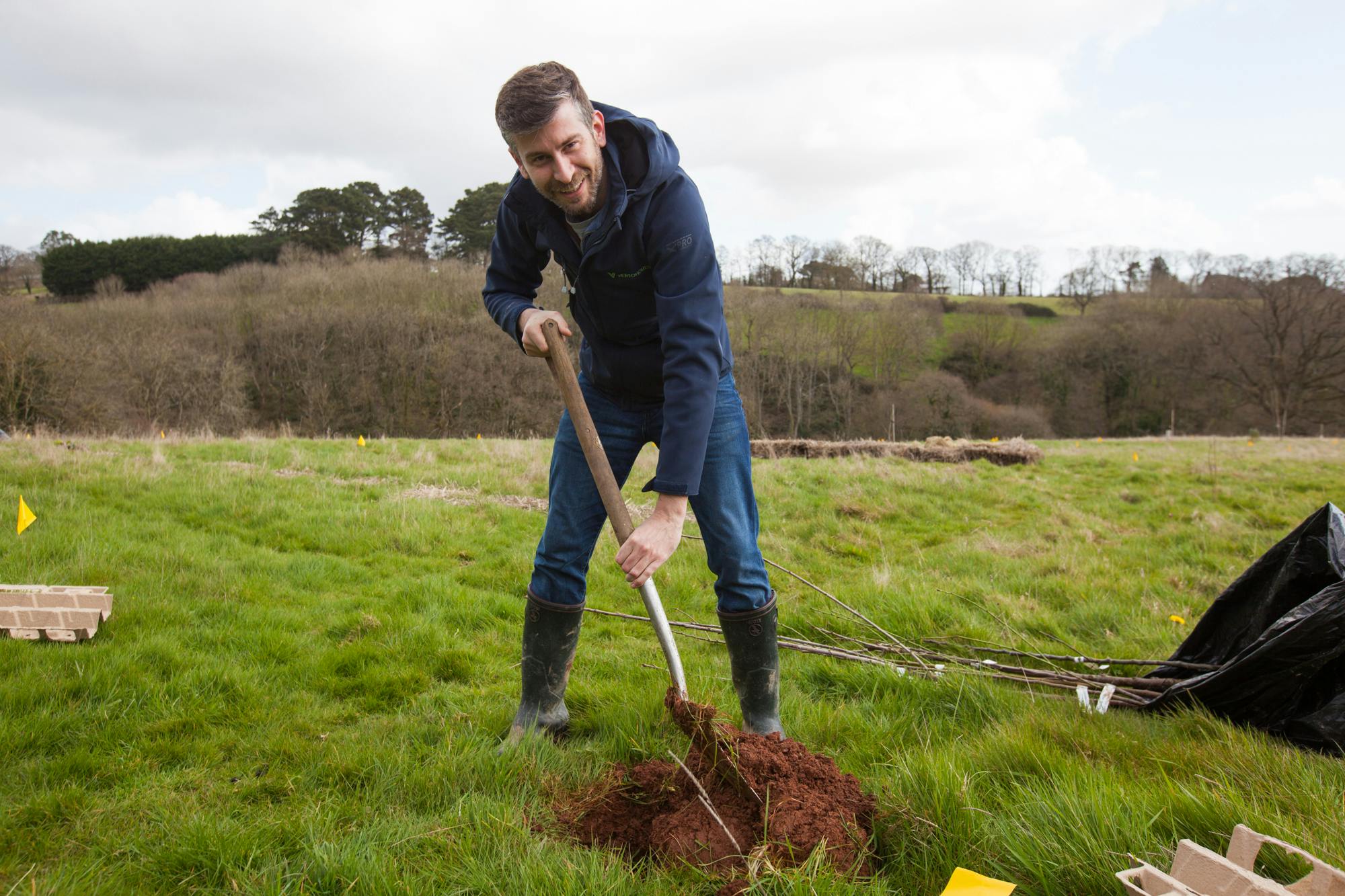Planting tree