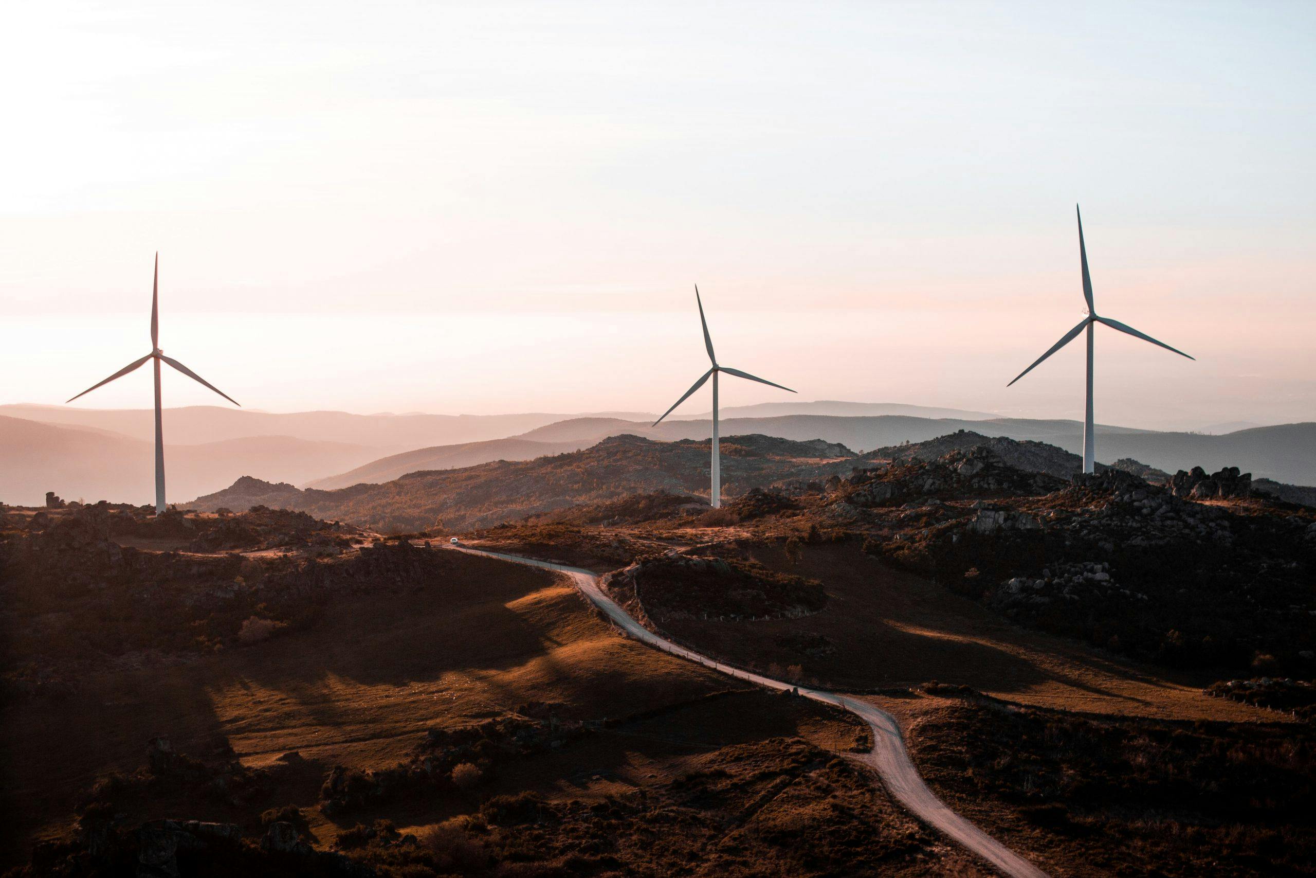 Windfarm