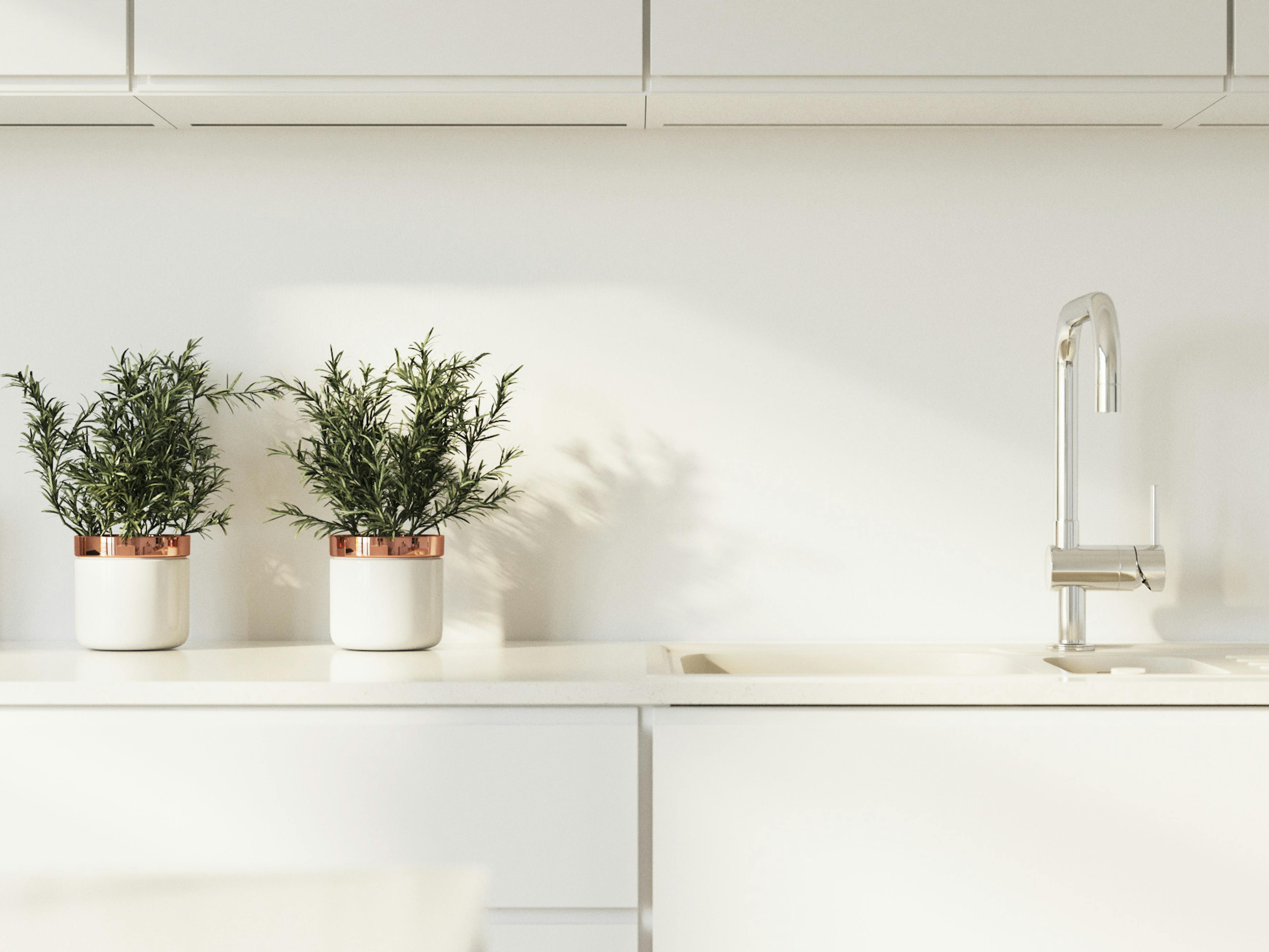 Kitchen detail