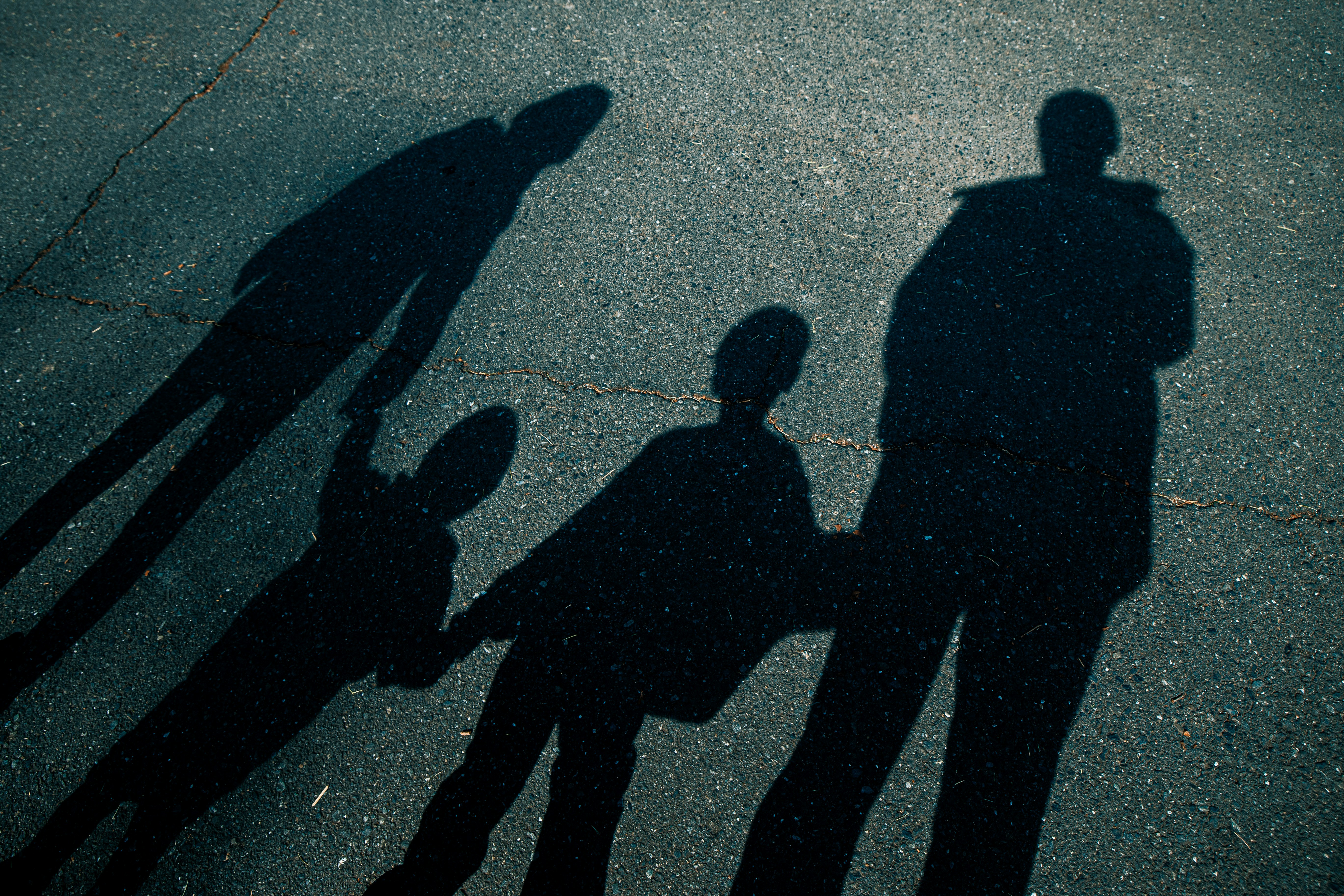 Shadow of a family