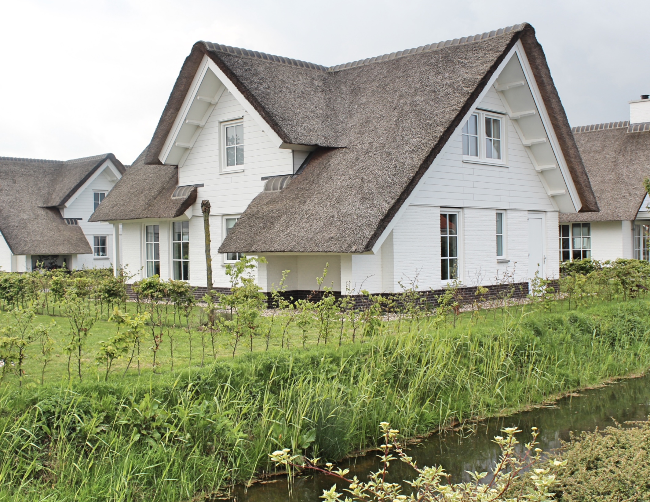 vakantiehuis met rieten dak verzekeren