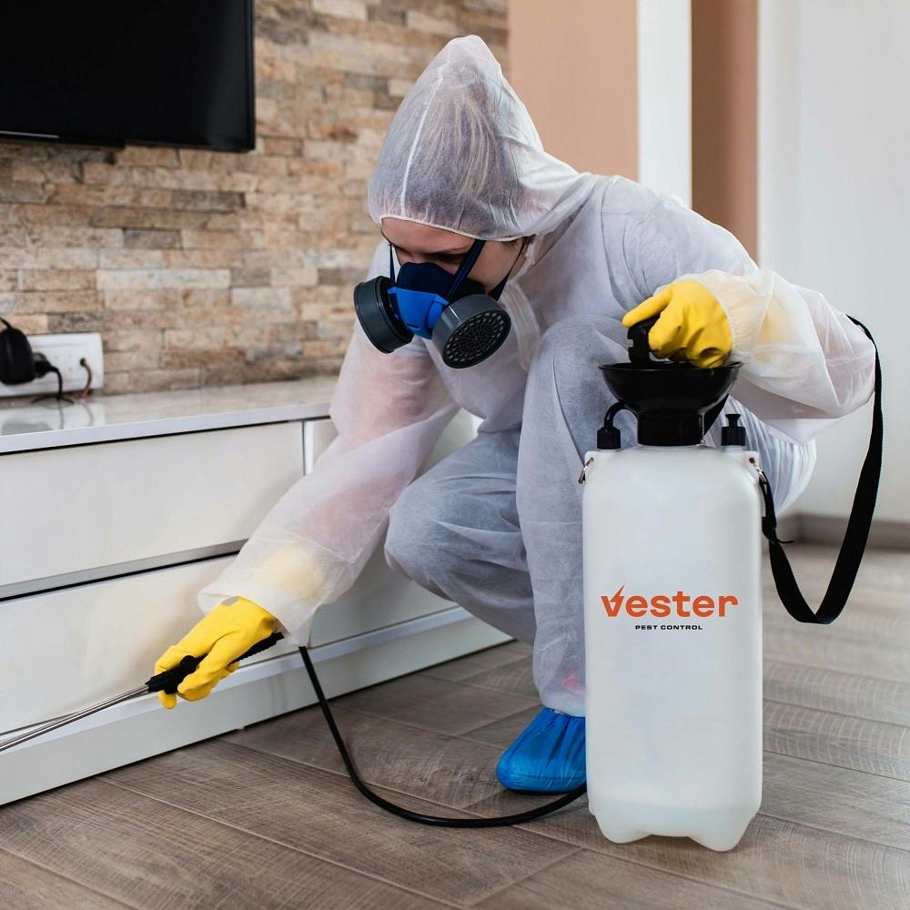 pest control specialist spraying house