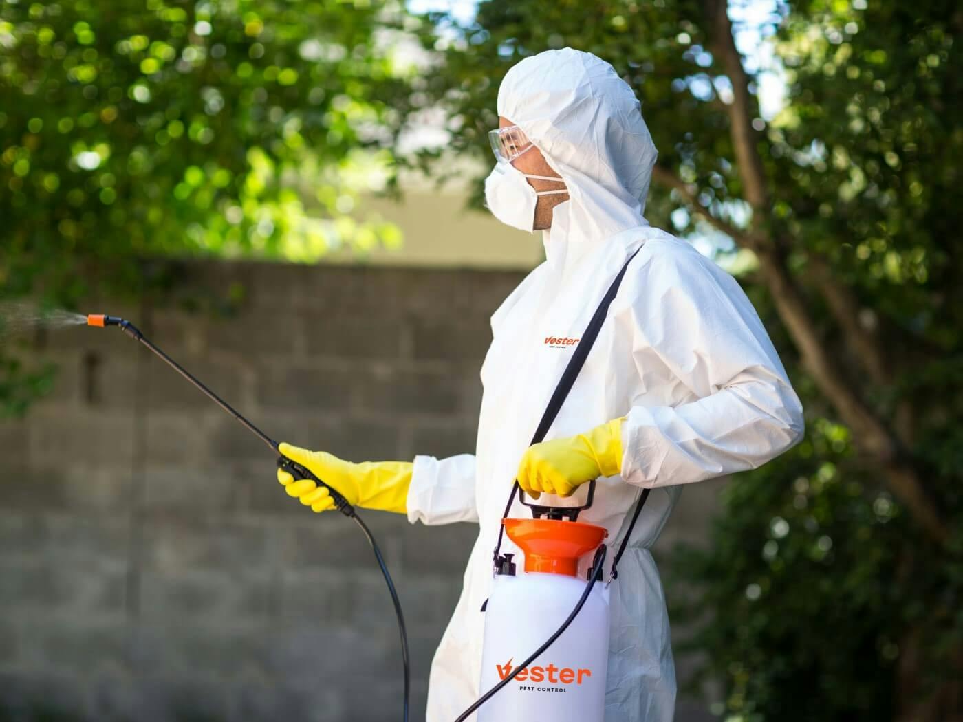 pest control specialist spraying house