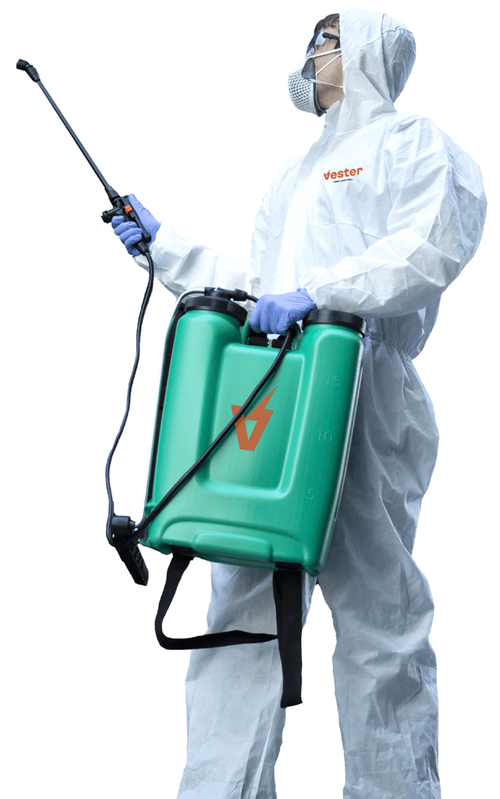 pest control specialist holding spray gun