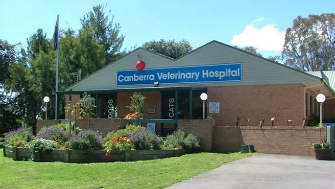 Canberra veterinary hospital