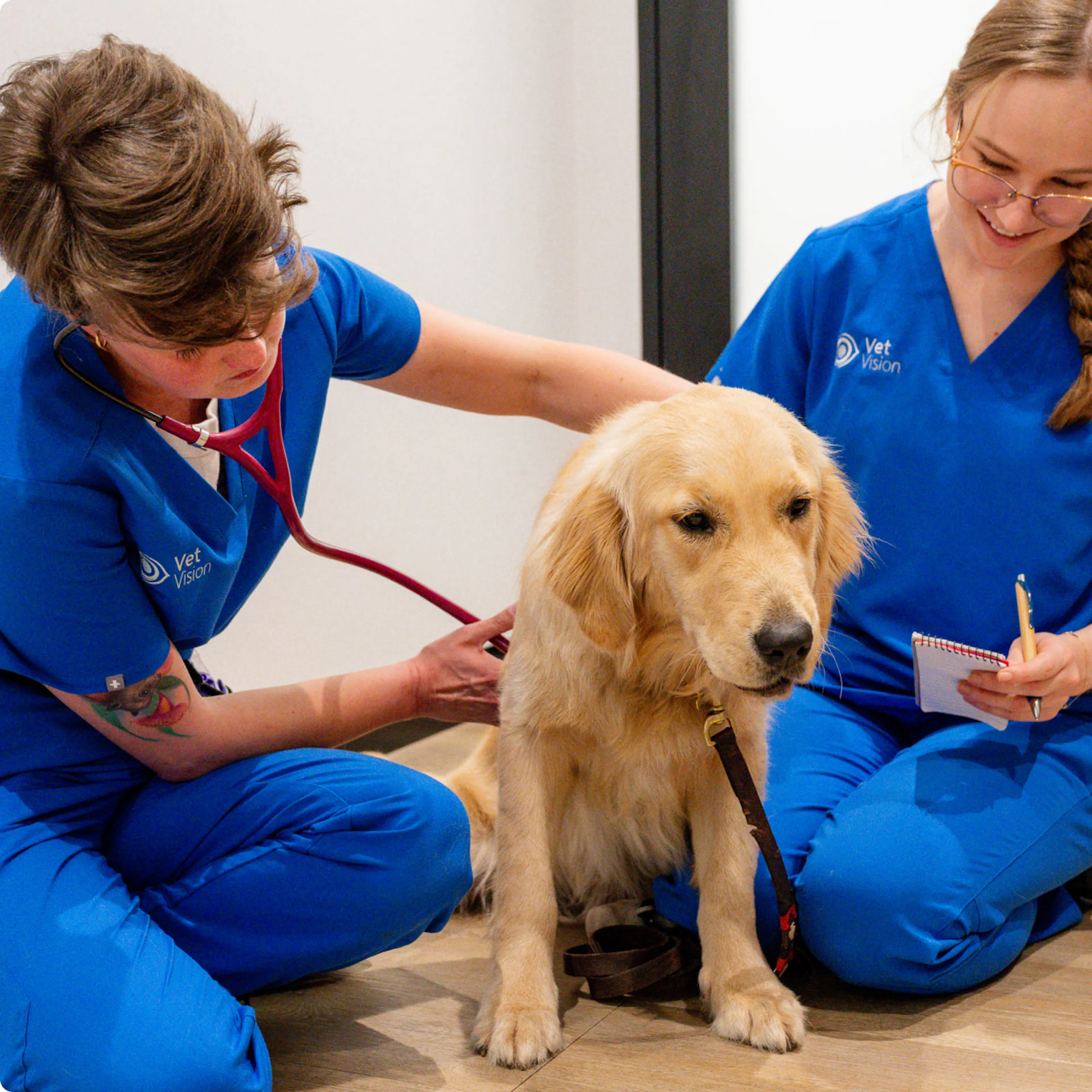 Veterinary Vision Vet Vision South Sydney