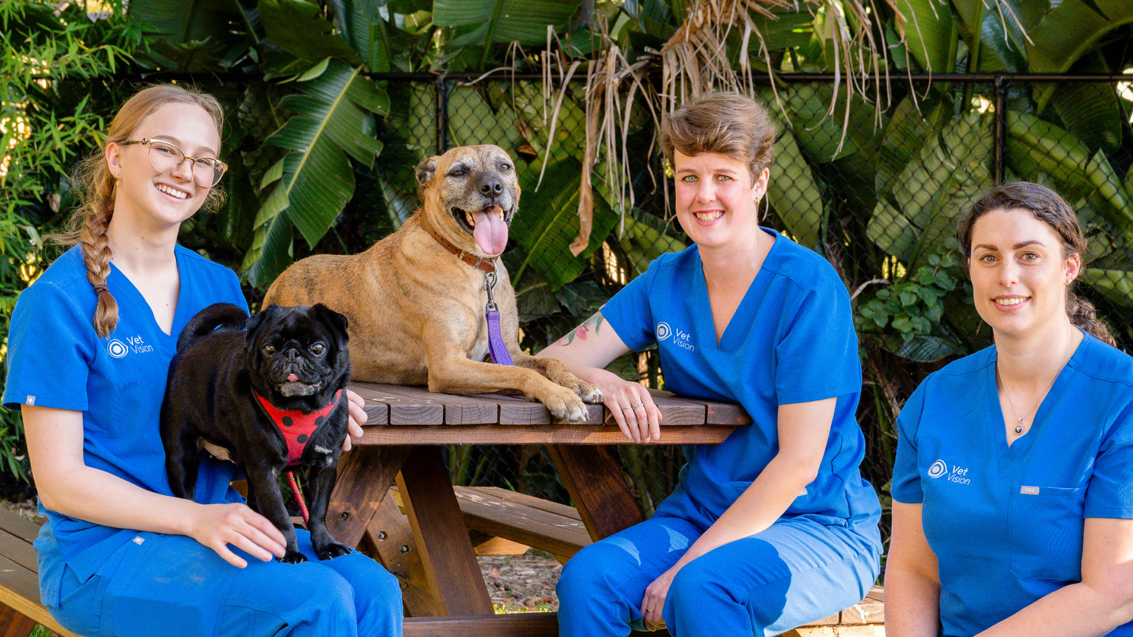 The Vet Vision team