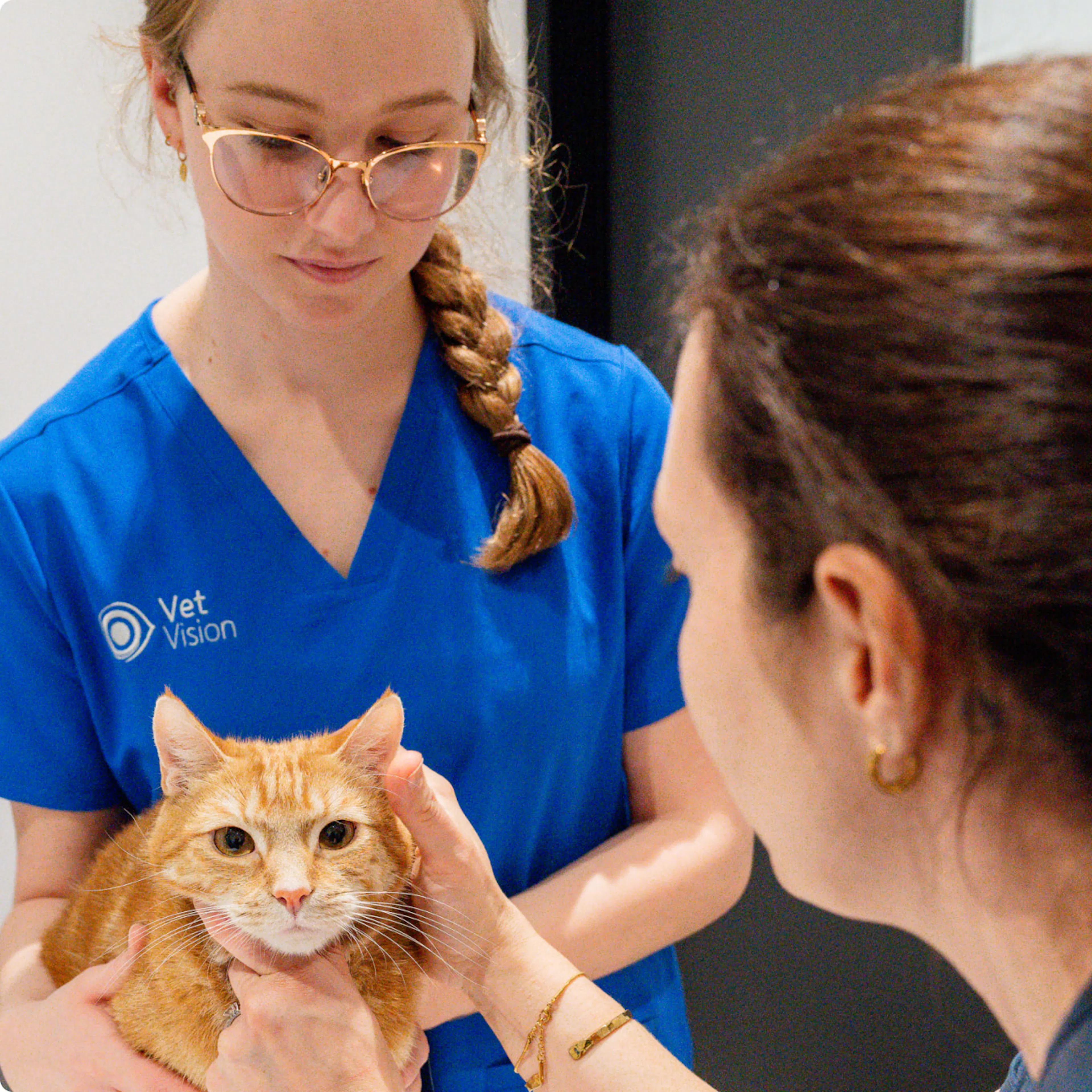 Vision Vet Program Vet Vision North Canberra