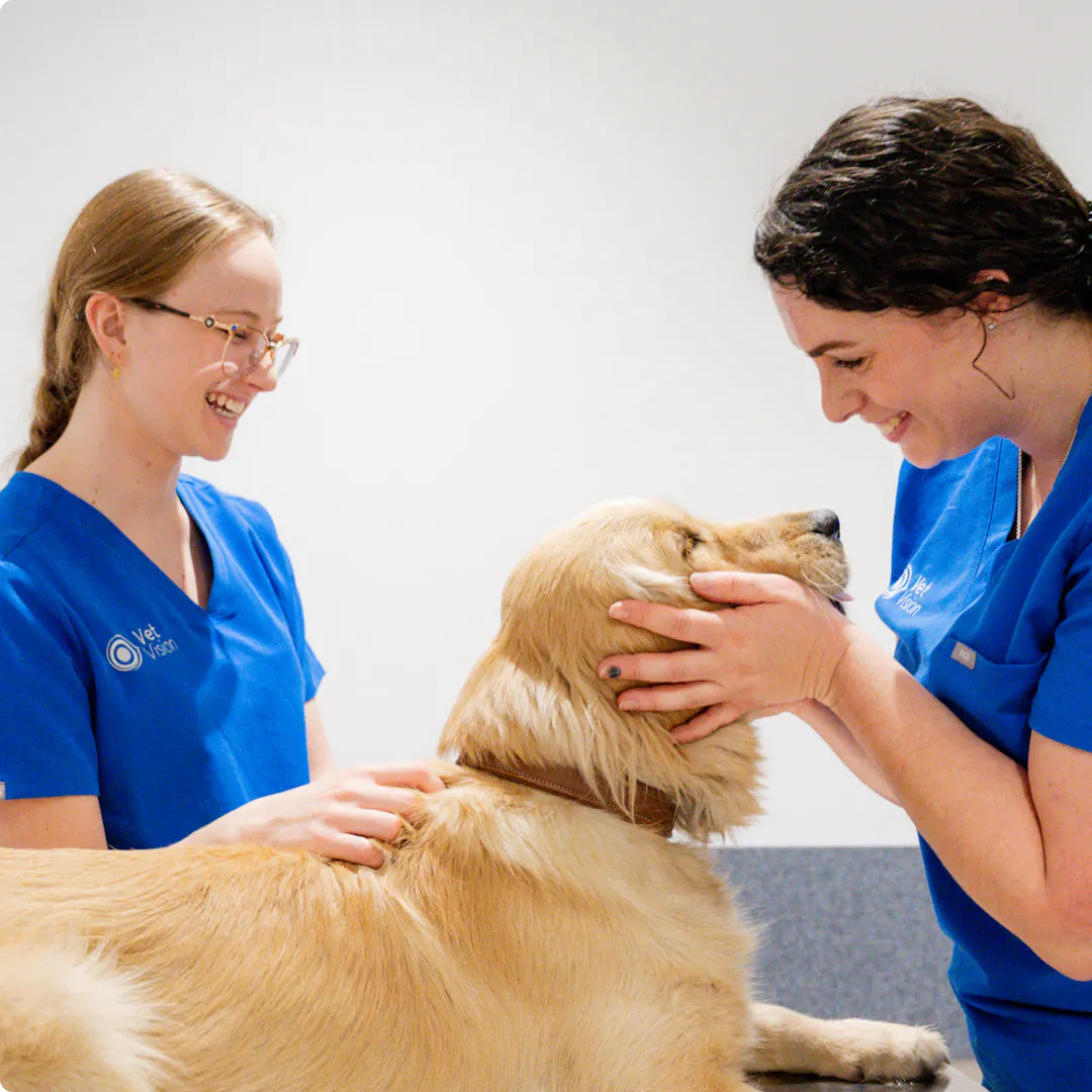 Vet Vision Sydney University