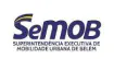 Cliente Dado Seguro