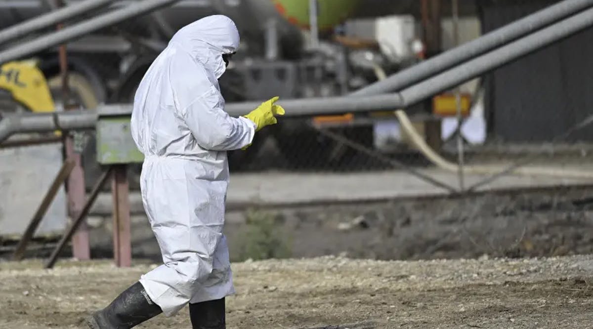 Workers in protective gear in Moshav Givat Yoav, in northern Israel