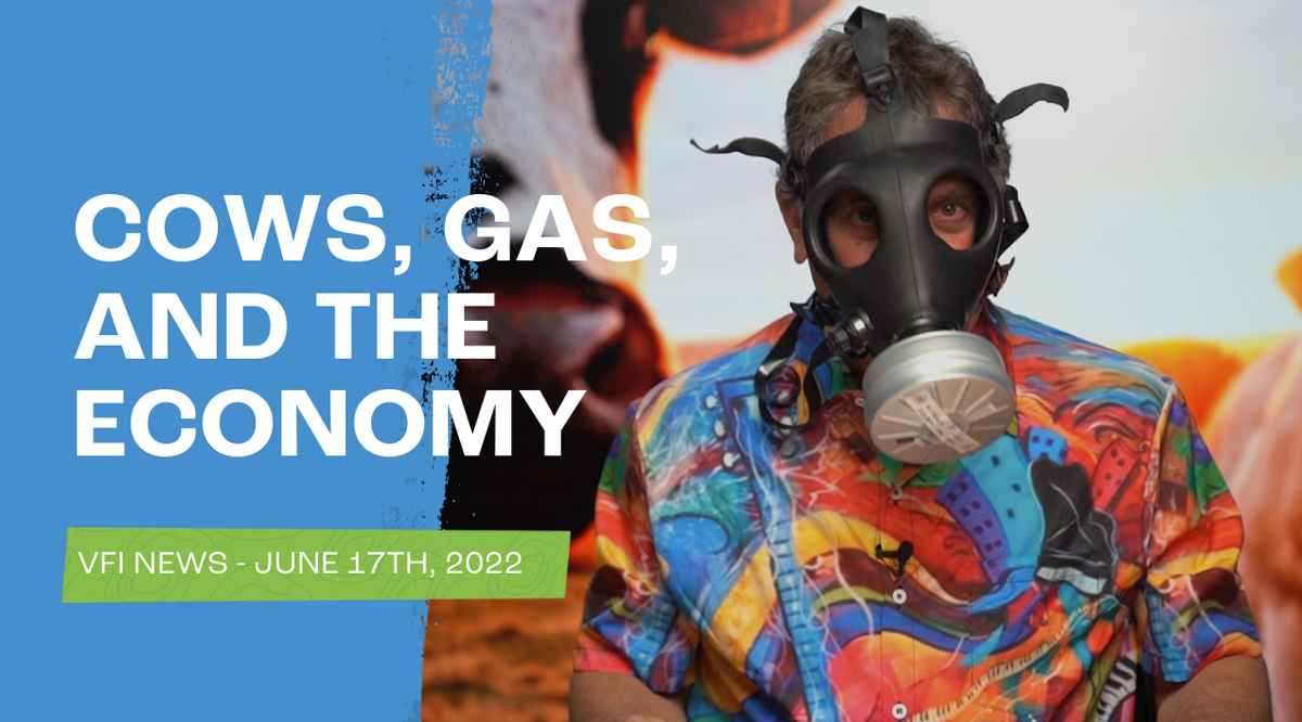 Watch Barry for the latest news in Israel!