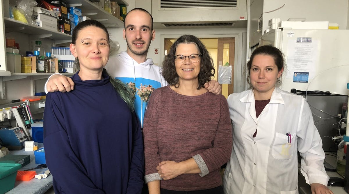 Prof. Ayelet David’s lab team at Ben-Gurion University (from right to left): Valeria Feinstein, Nenad Milošević, Yvonne Ventura, Marie Rütter.