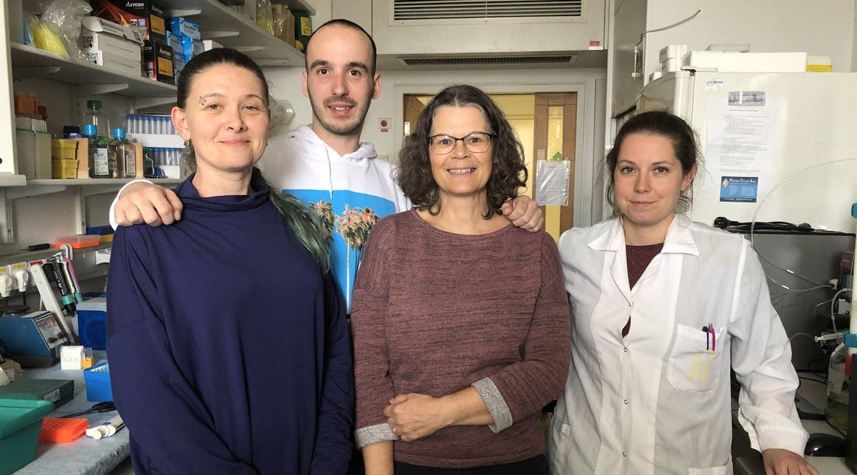 Prof. Ayelet David’s lab team at Ben-Gurion University (from right to left): Valeria Feinstein, Nenad Milošević, Yvonne Ventura, Marie Rütter. 