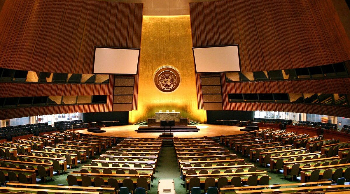 UN General Assembly