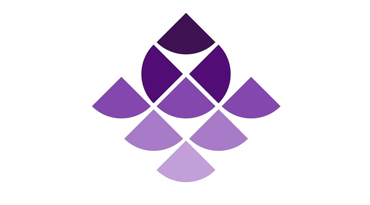 the Association of Rape Crisis Centers in Israel