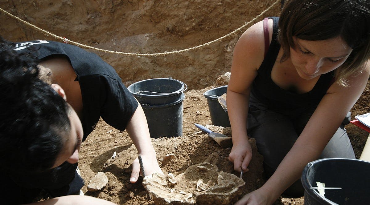 Yossi Zaidner professor of archaeology