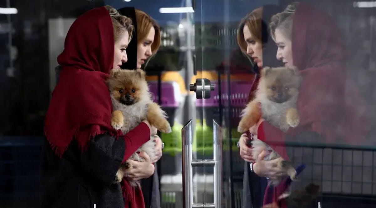An Iranian woman holds a dog as she visits the Pallapet boarding house at Palladium shopping mall in Tehran