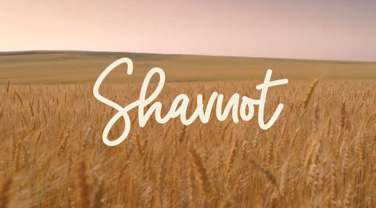 Shavuot