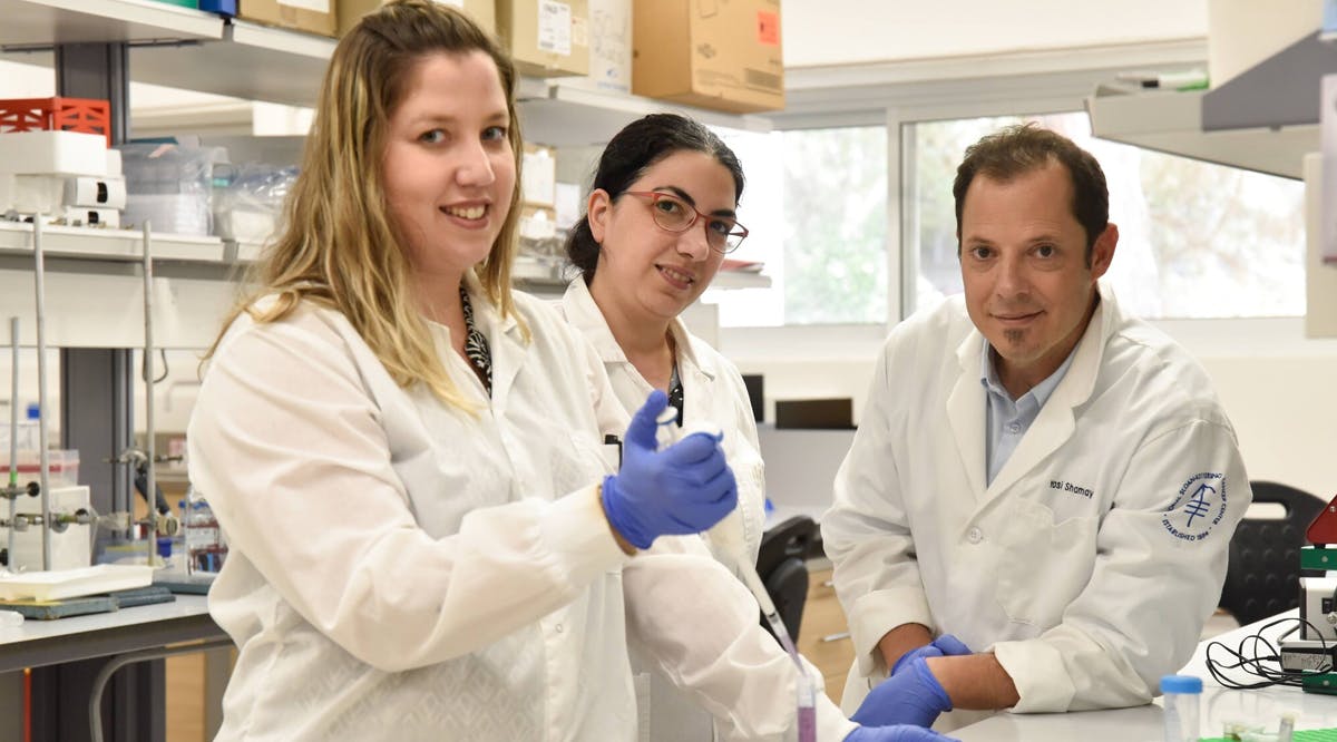 Researchers at the Technion-Israel Institute of Technology (left to right) Yuval Harris, Dr. Hagit Sason-Bauer and Prof. Yosi Shamay