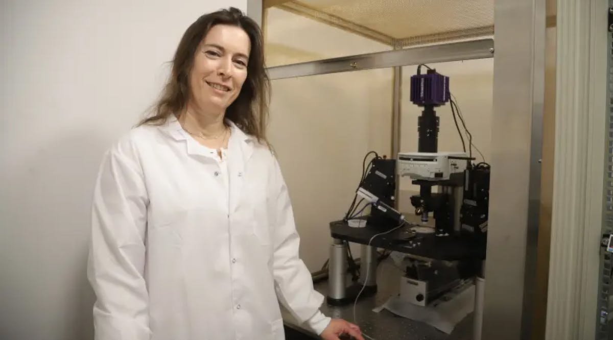 Dr. Shani Stern