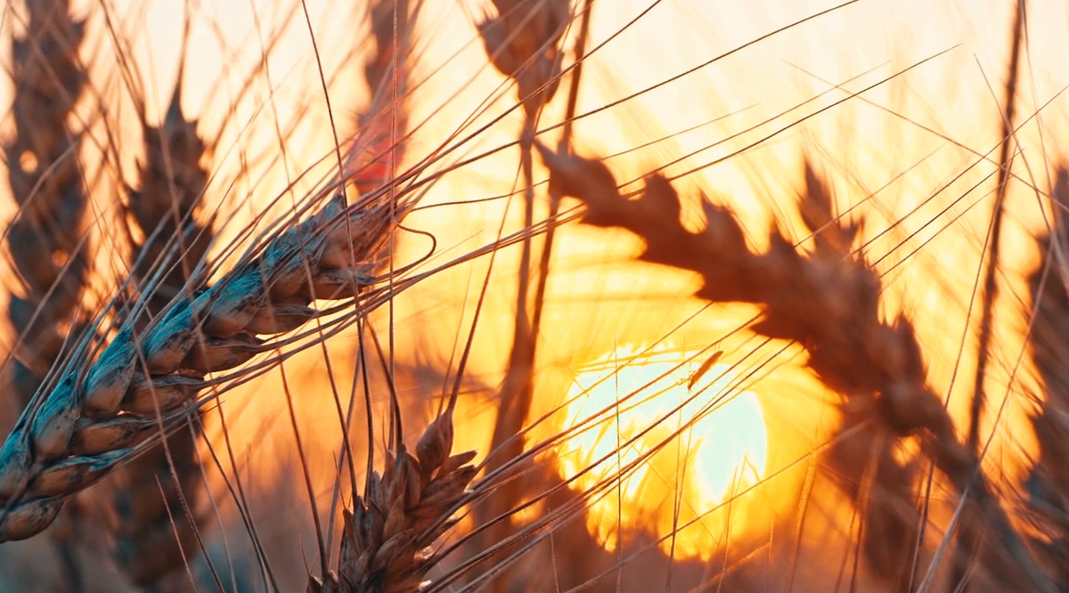 may the Lord’s blessings fill your home and keep you safe