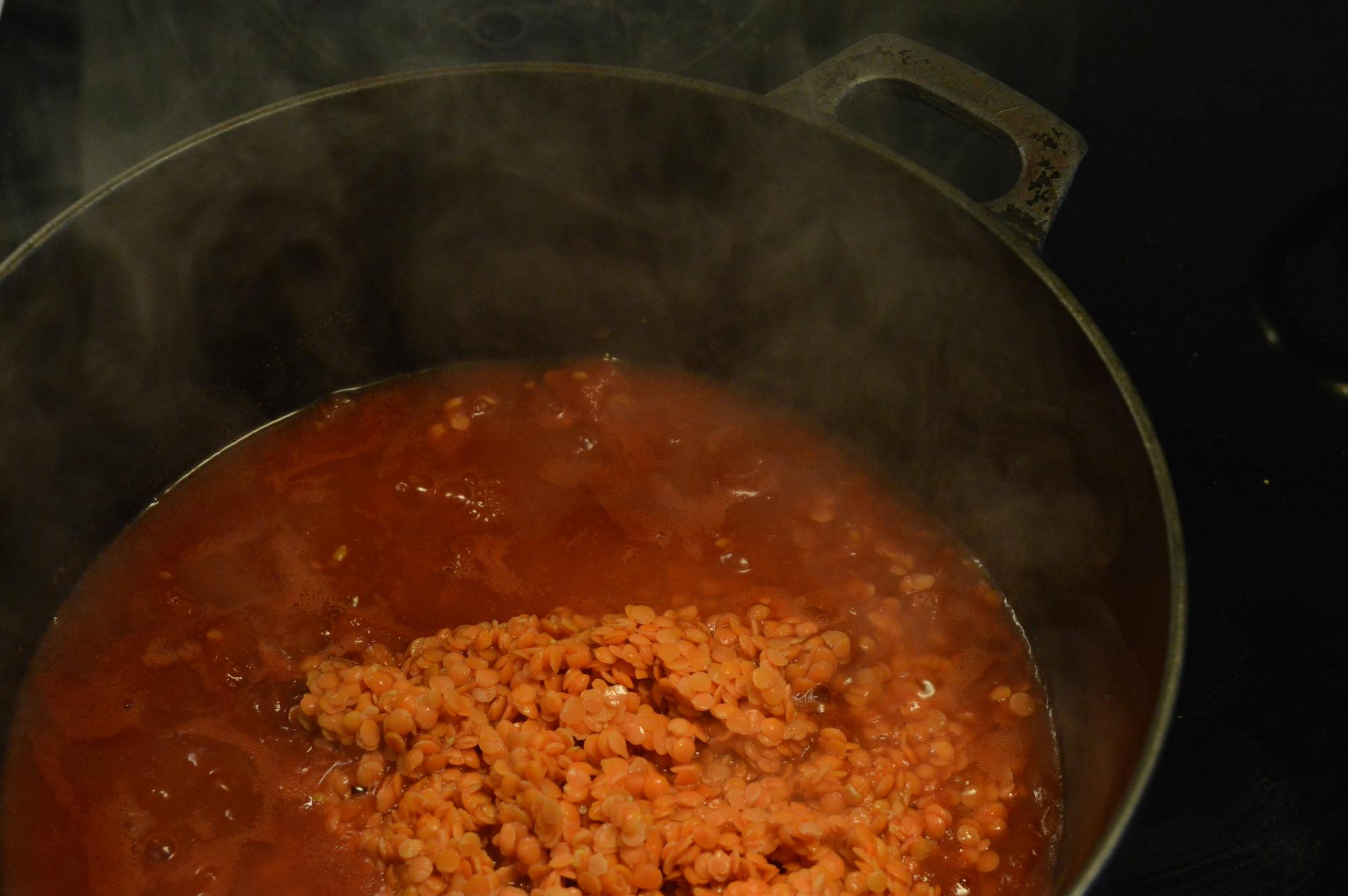 Bowl of Lentils