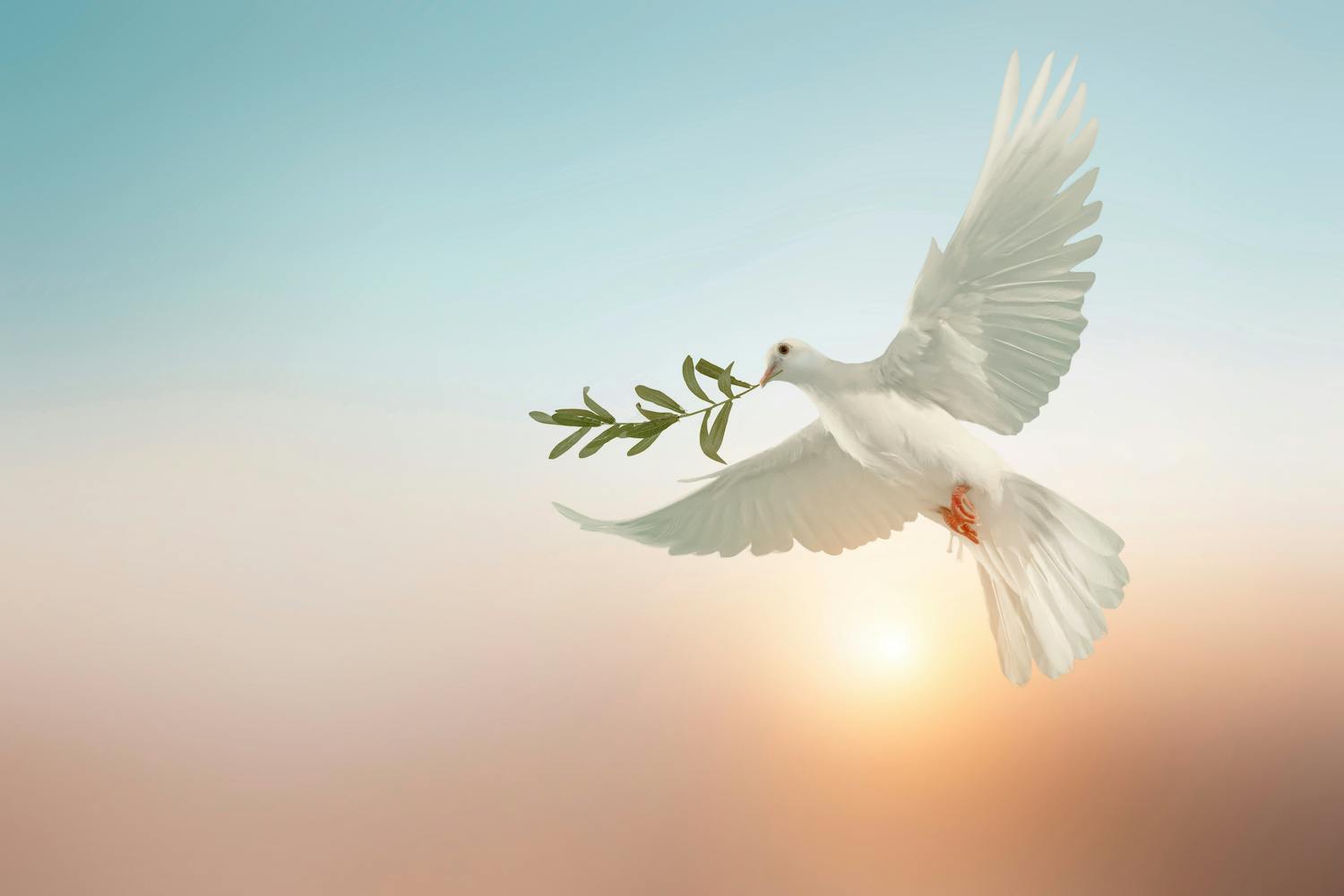 Dove of Peace