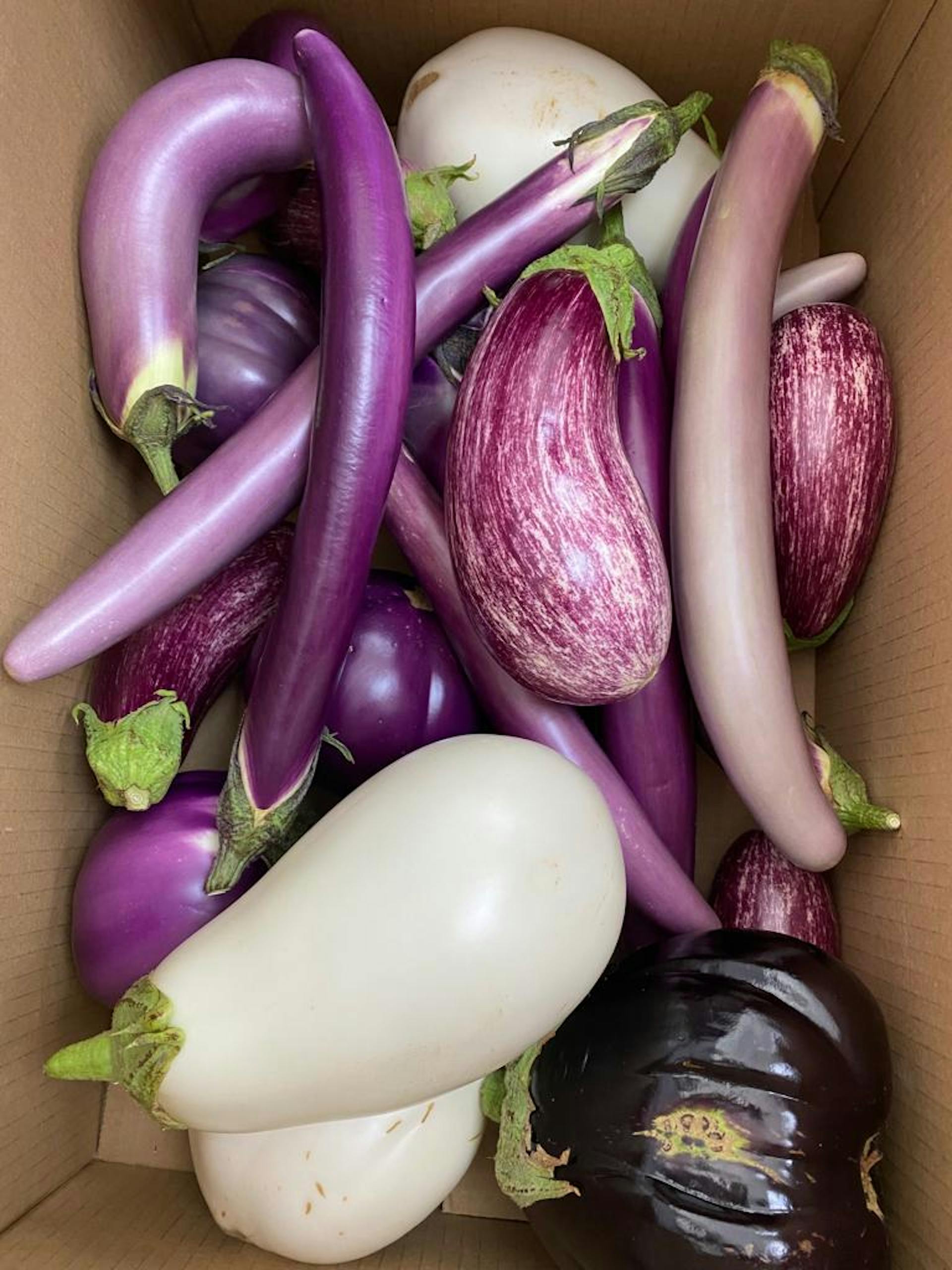 Fresh Produce