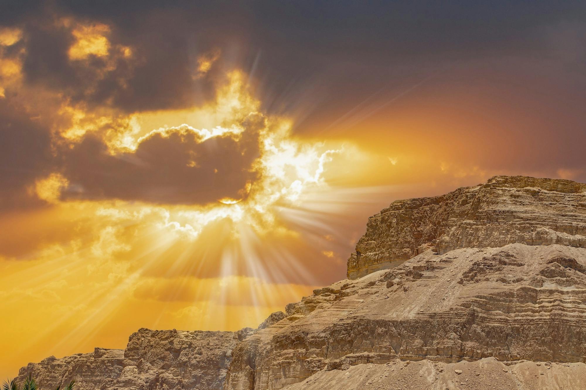 A New Year of Purpose