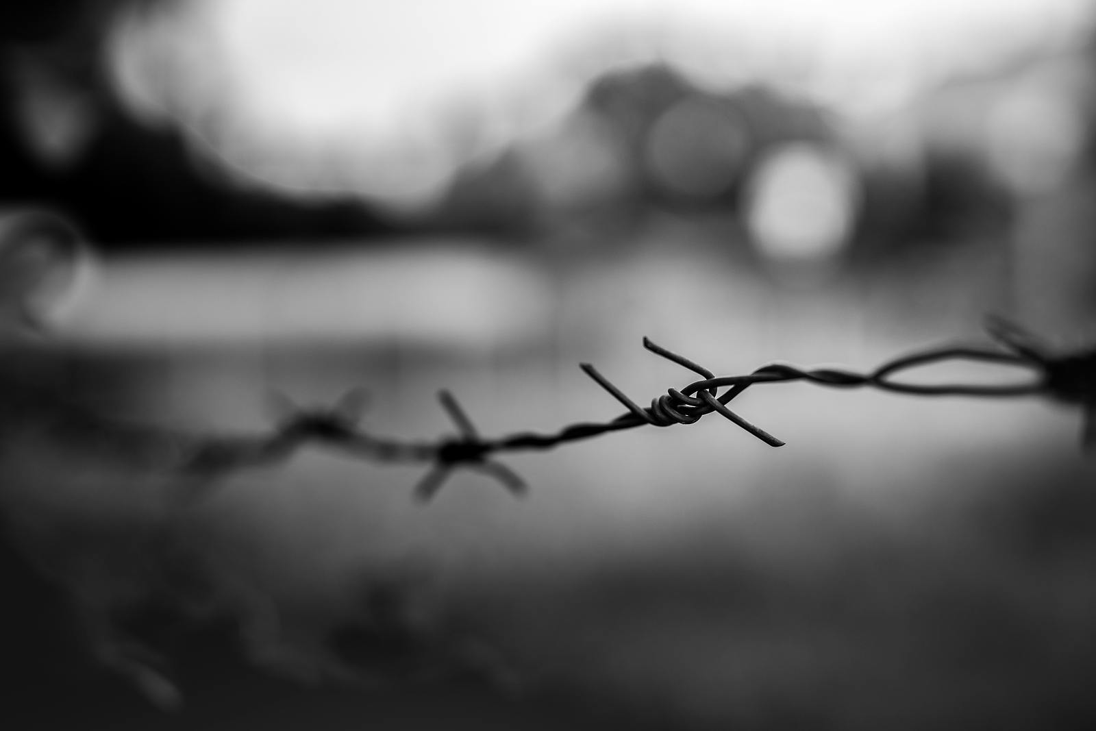 Barbed Wire