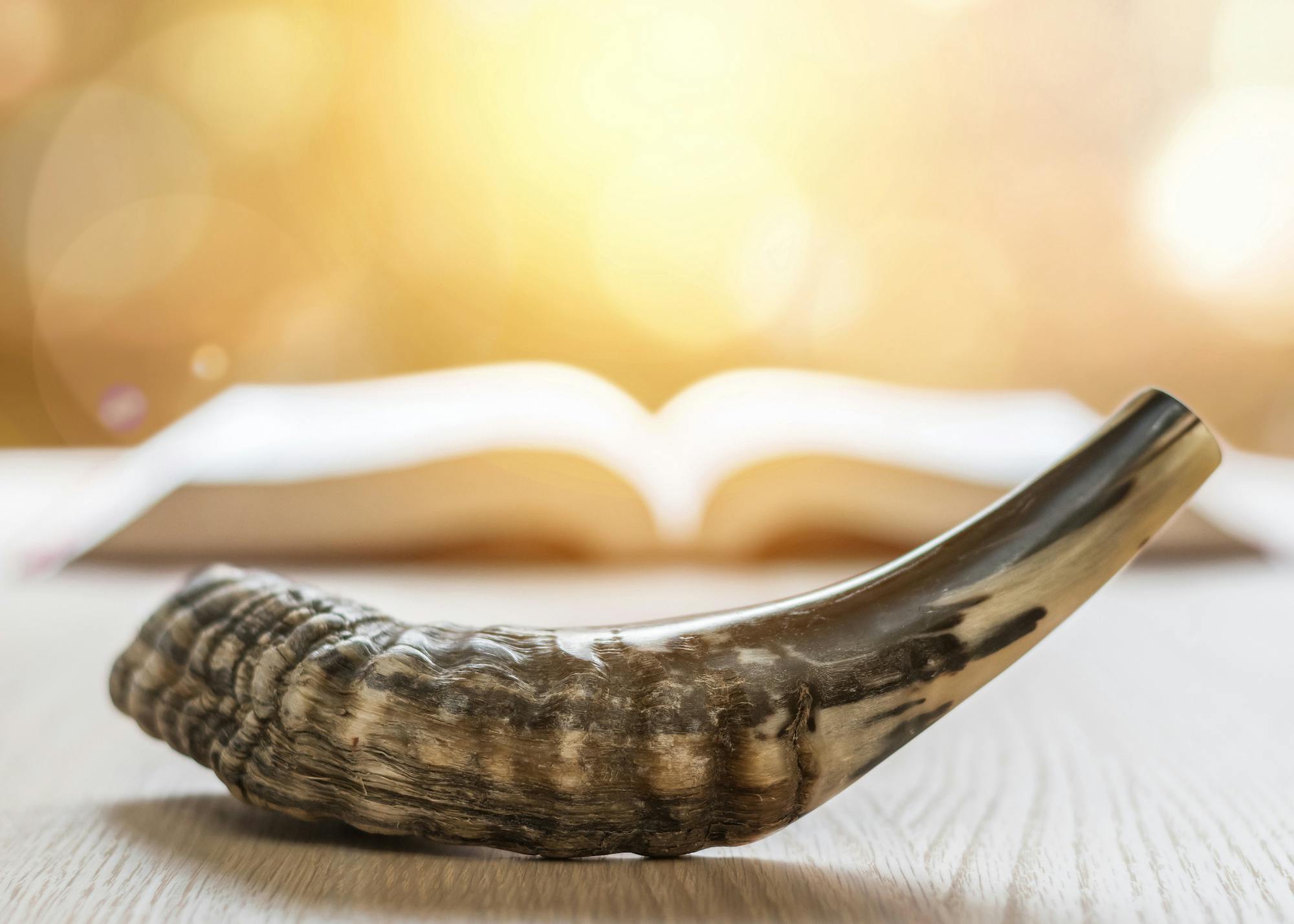 Shofar and Bible