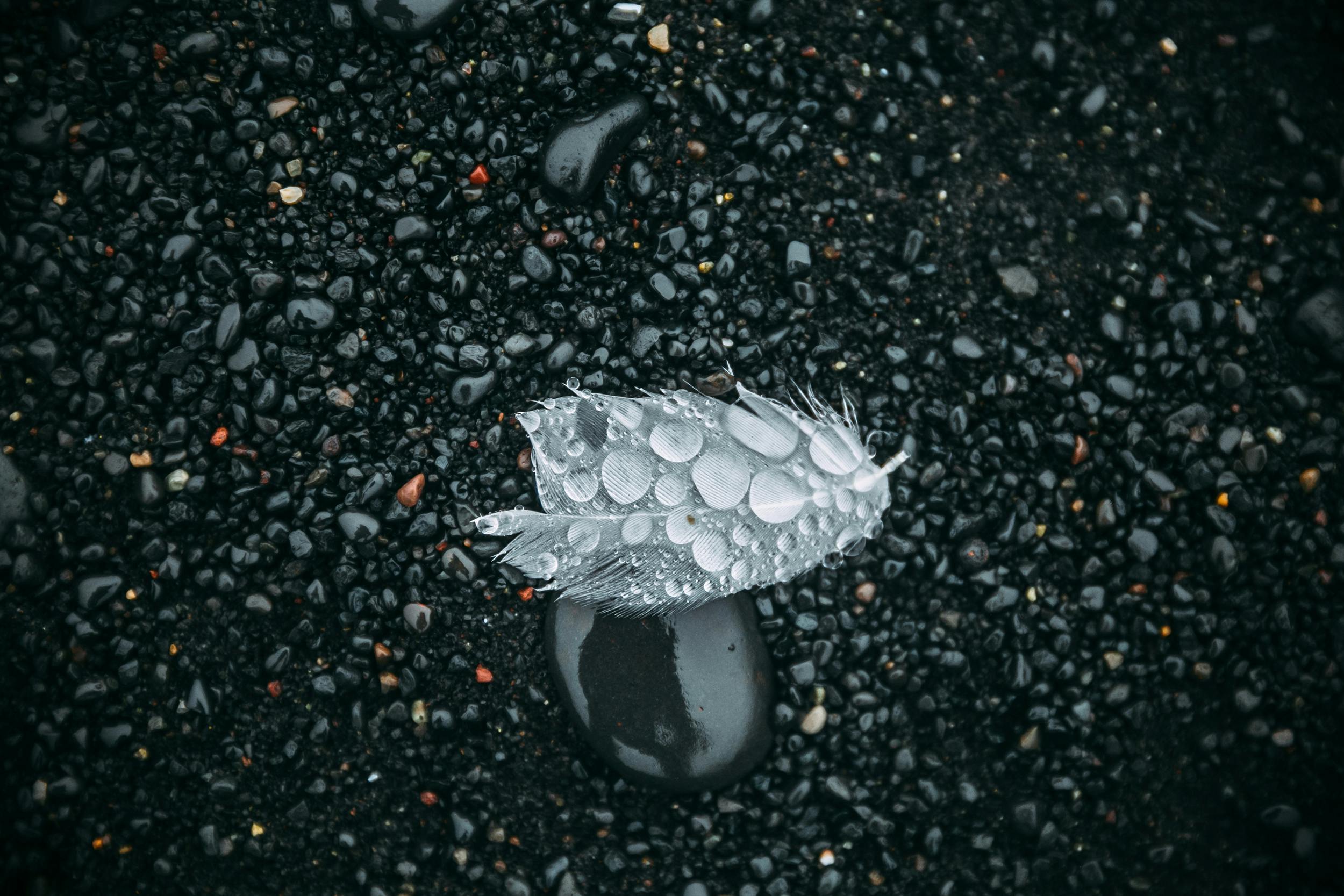 Feder, Lavasand, Reynisfjara, Island