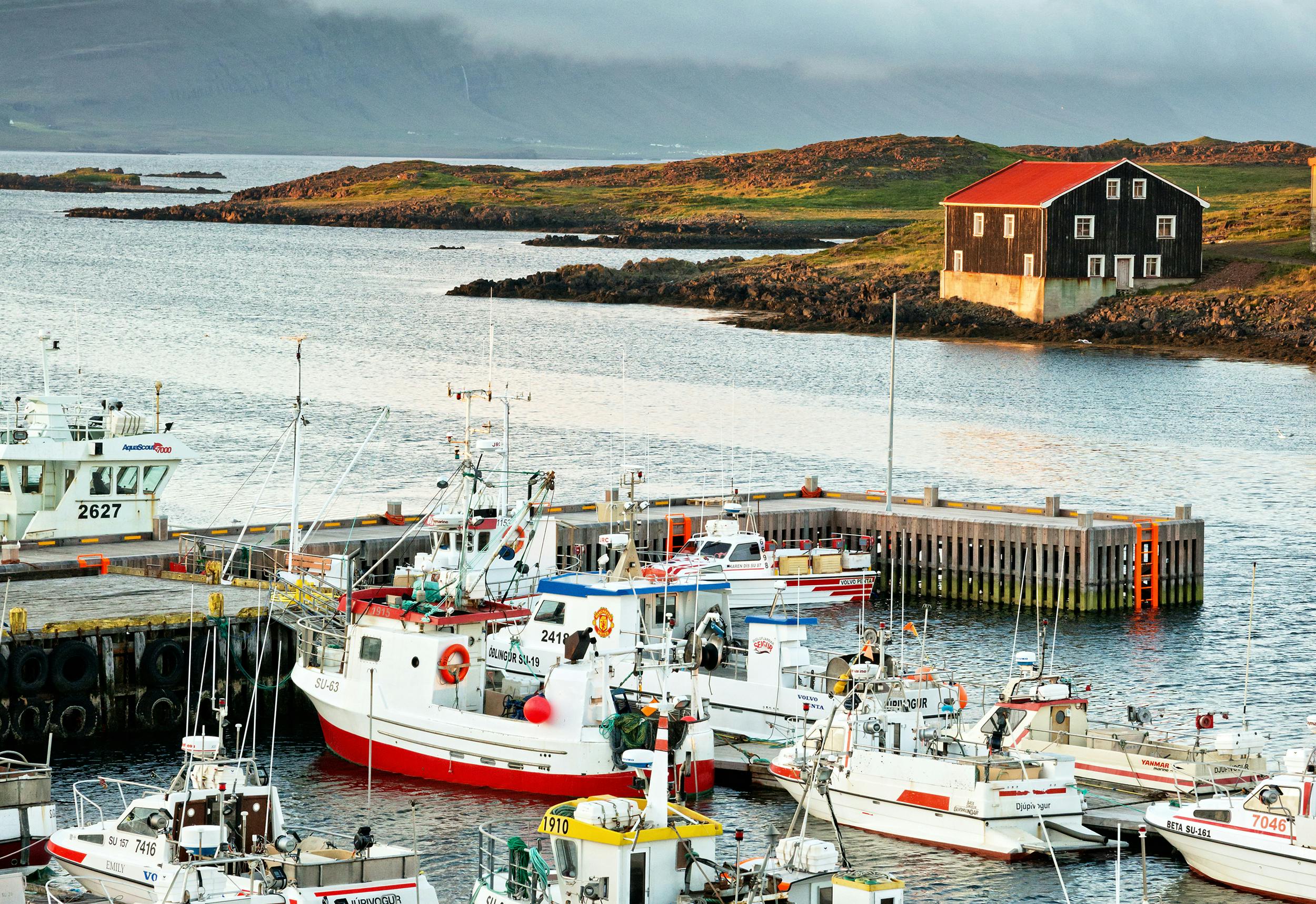 Hafen, Djuüivogur, Island