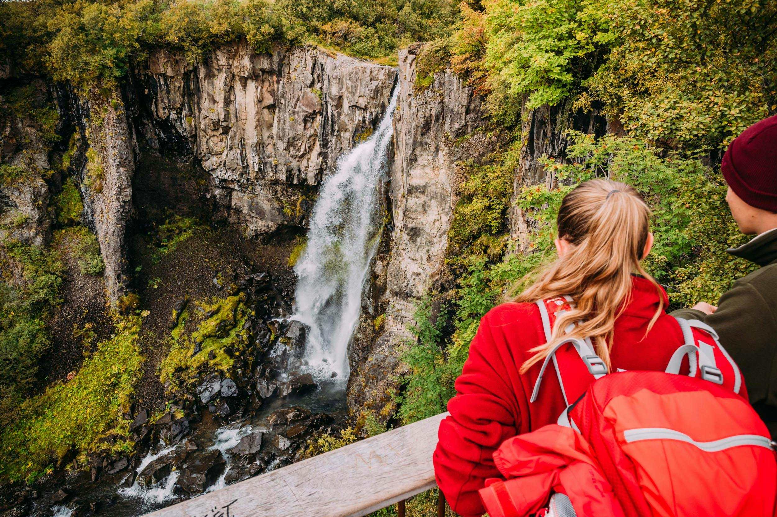 Skaftafell National Park, waterfall, Iceland