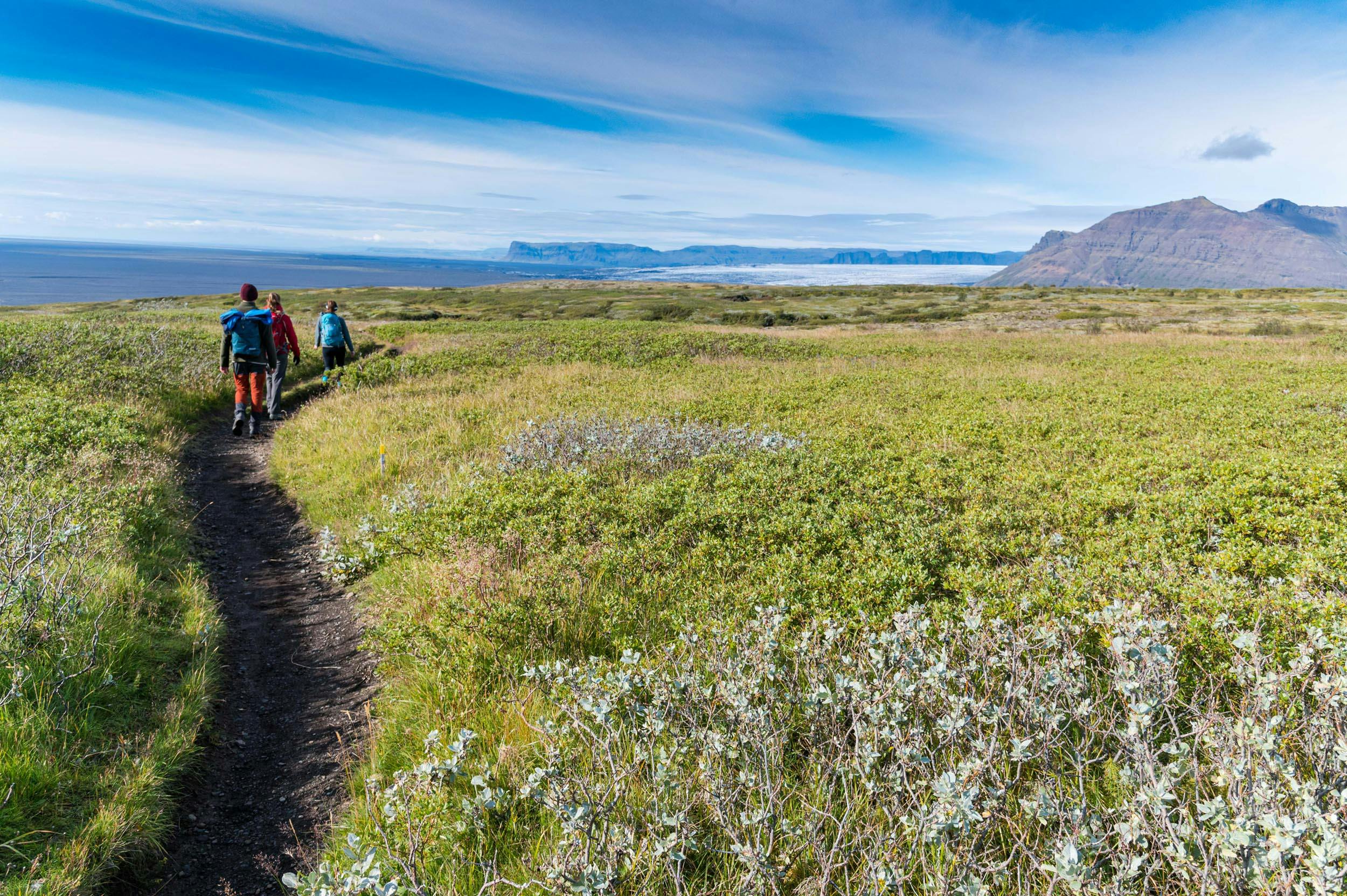 Wandern, Hochebene, Skafatfell, Nationalpark, Island