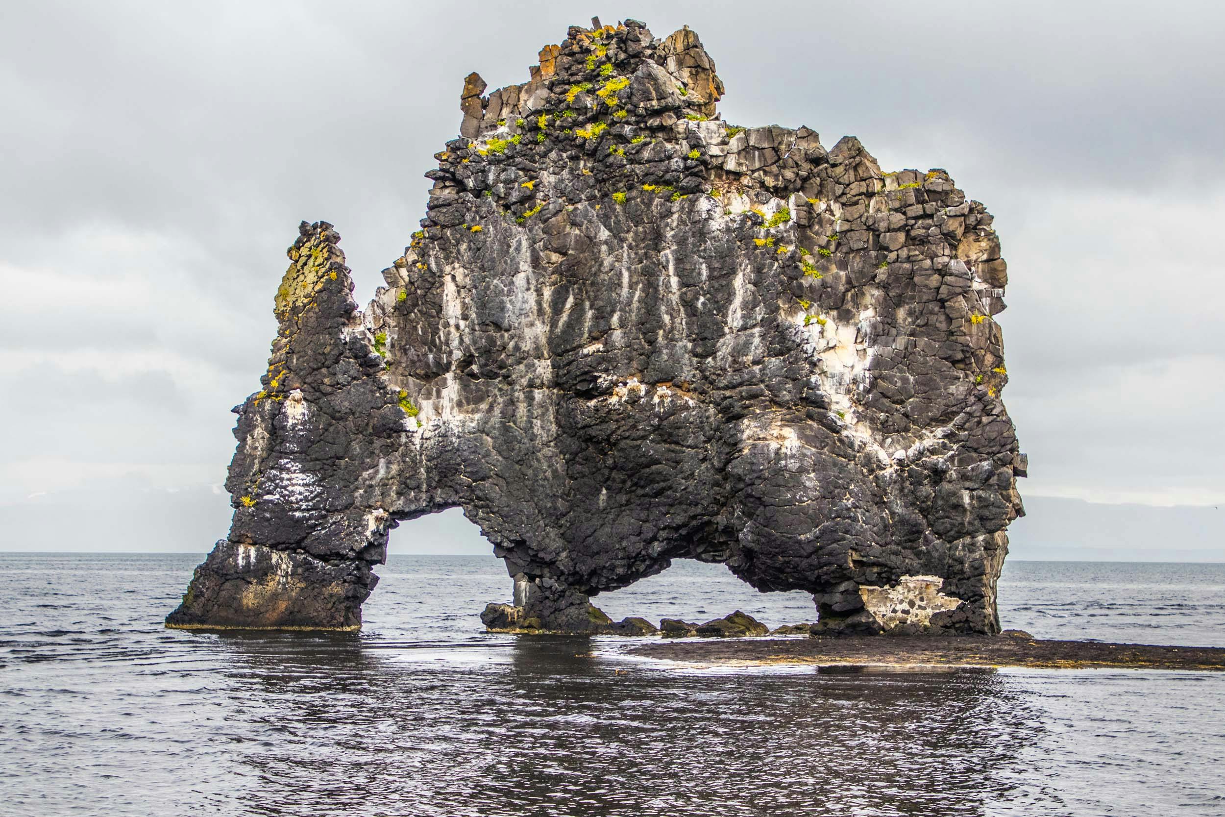 Felsen, Hvitserkur, Vatsnes, island