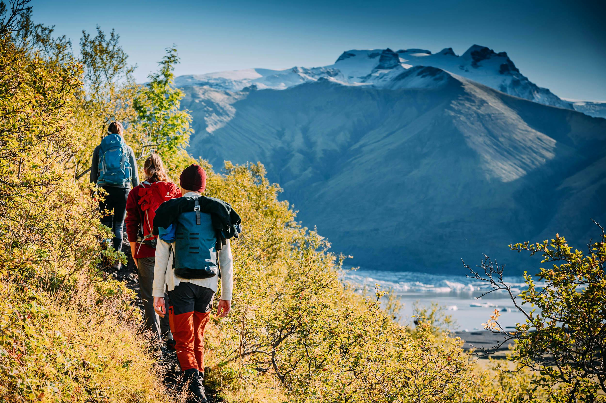 Wandergruppe, Birken, Vatnajökull Nationalpark, Island