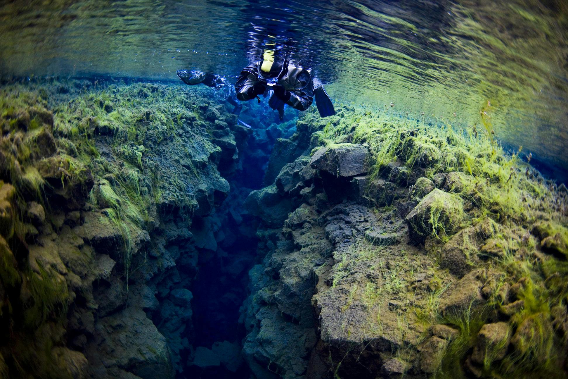 Silfra, schnorcheln, Thingvellir, Island