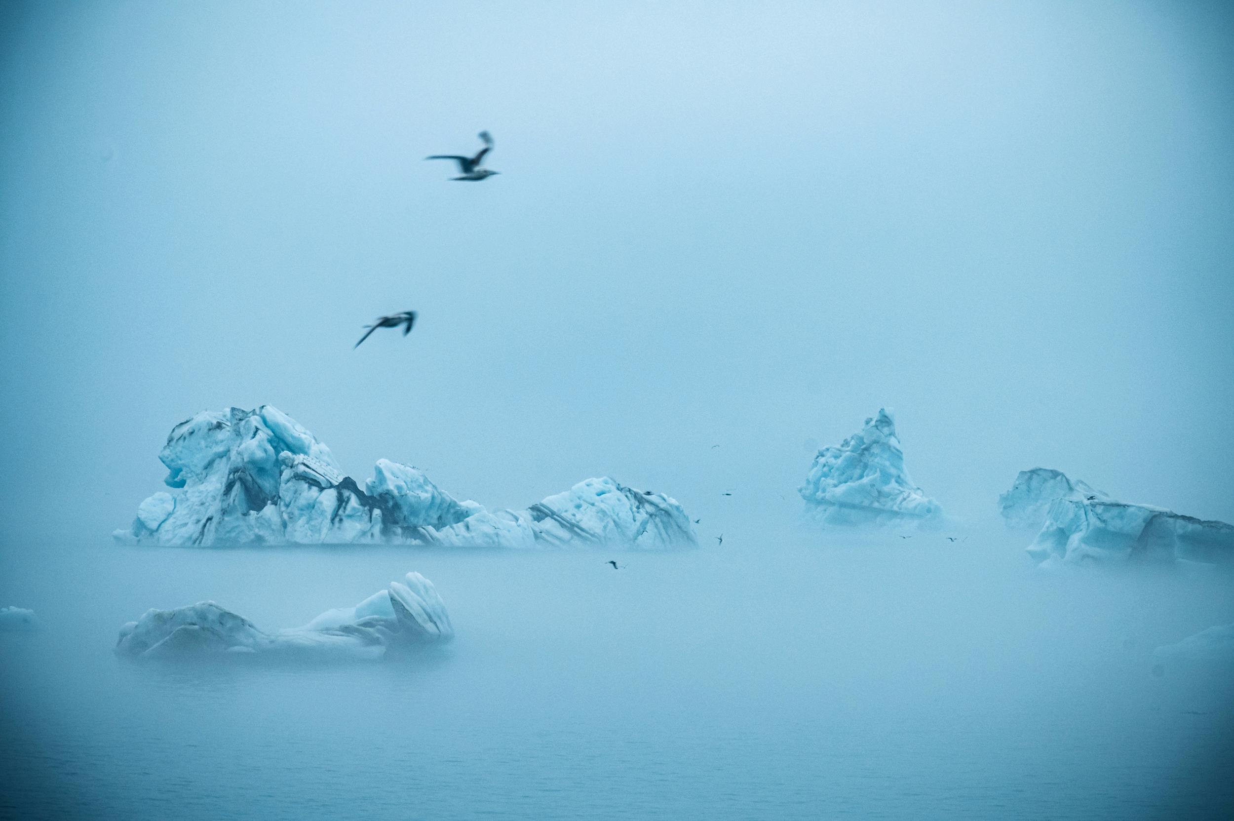 Eisberge, Gltescherlagune, Jökulsárlón, Island