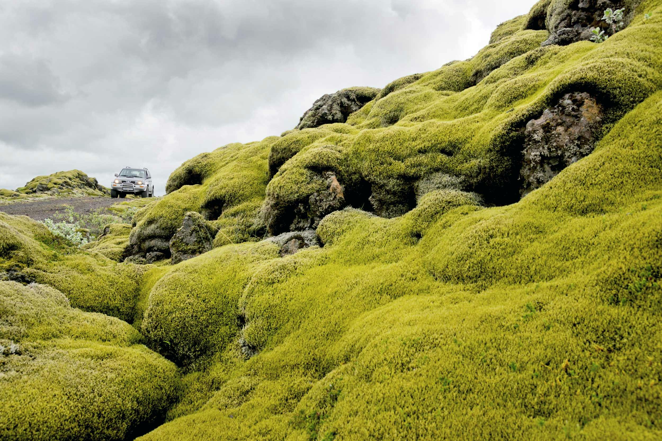 Moosteppich, Lavafeld, Eldhraun, Jeep, Island